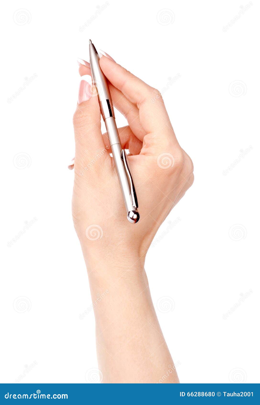 Pen in Woman Hand Isolated on a White Stock Photo Image of caucasian