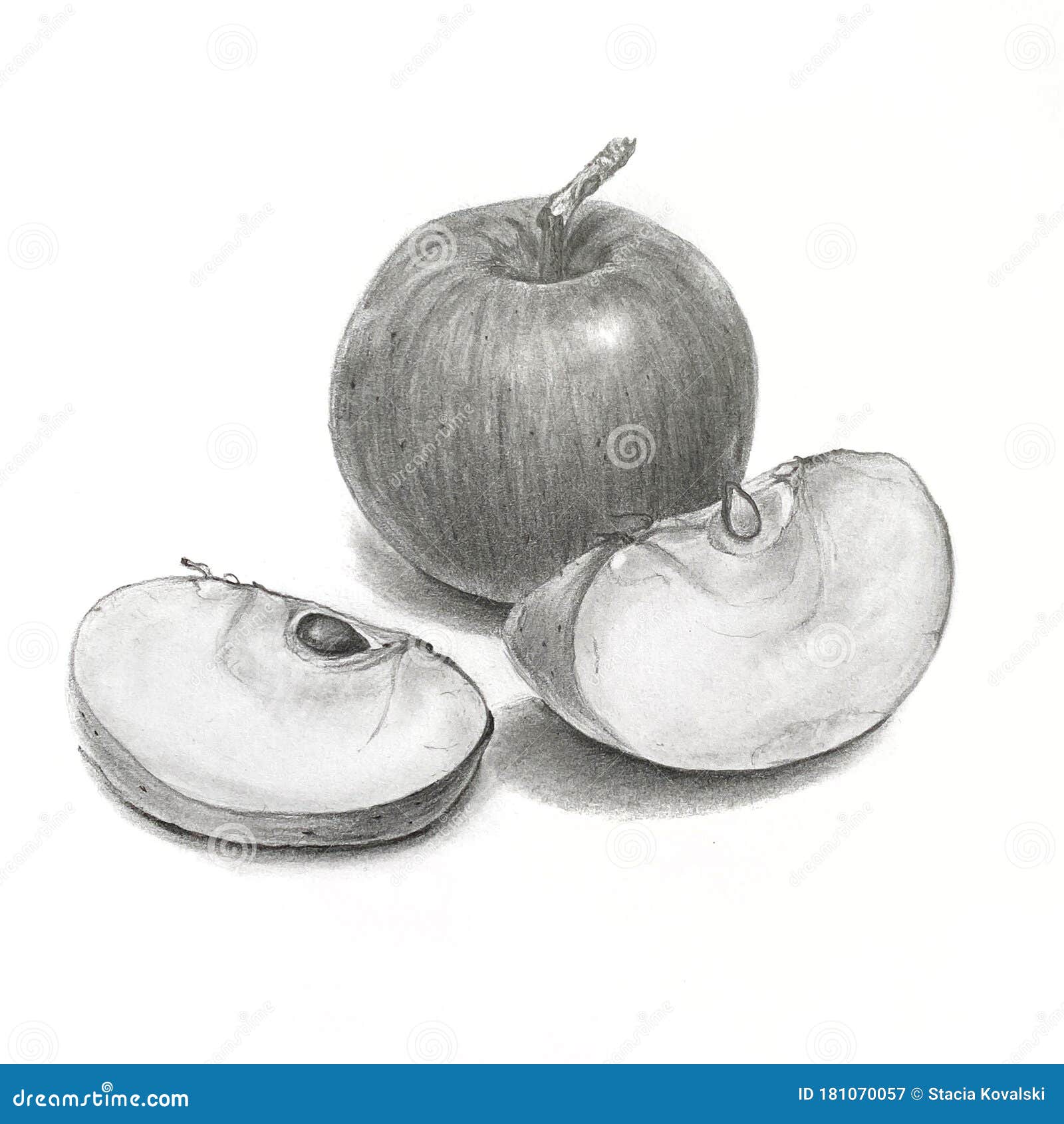 I quite enjoyed the process of drawing the first apple. It was nice to come  back to simple graphite drawing after a few years of doing digital work.  The first one I