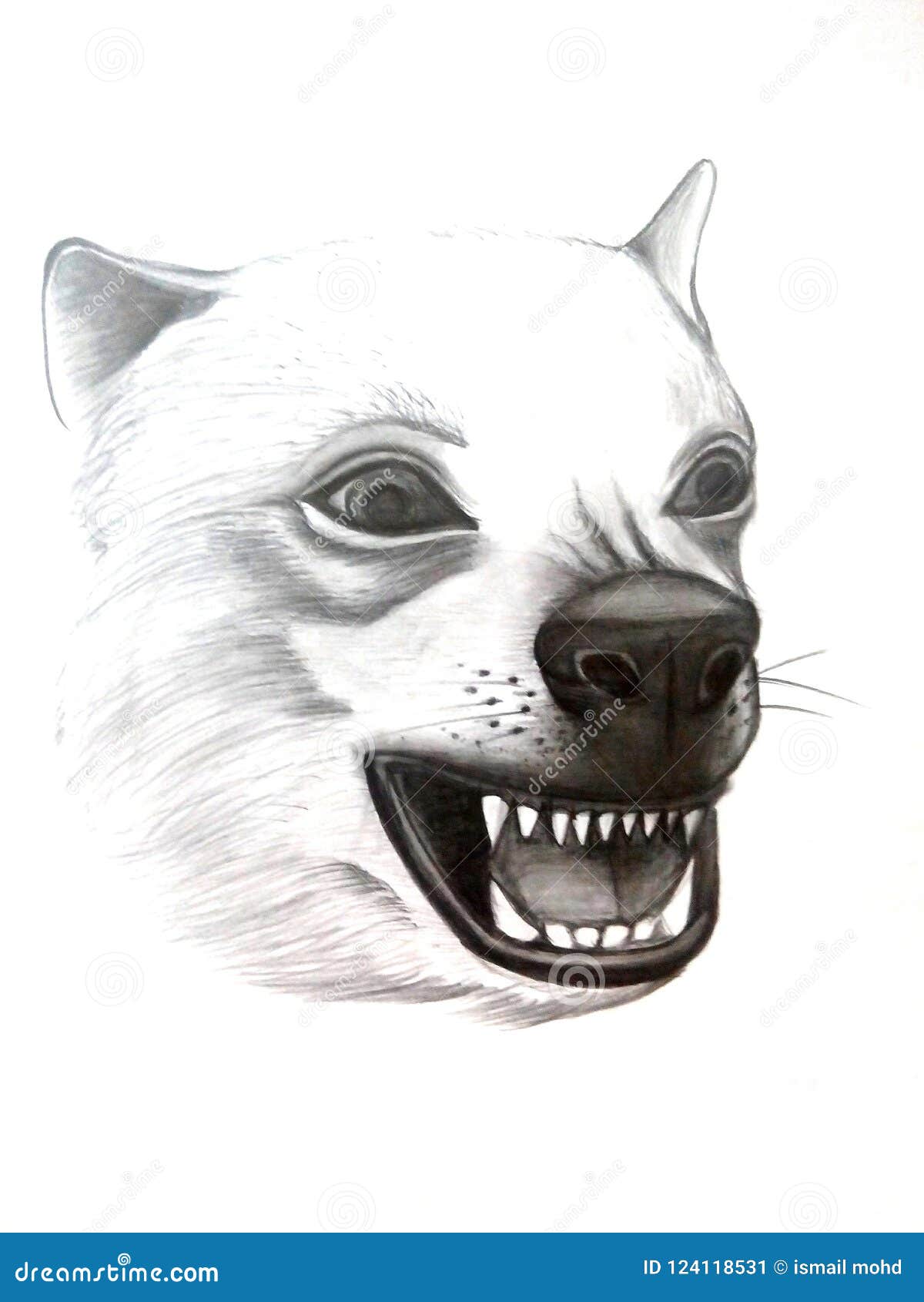 Pencil art of portrait dog editorial photo. Image of show - 124118531 Pencil art of portrait dog editorial photo. Image of show - 124118531