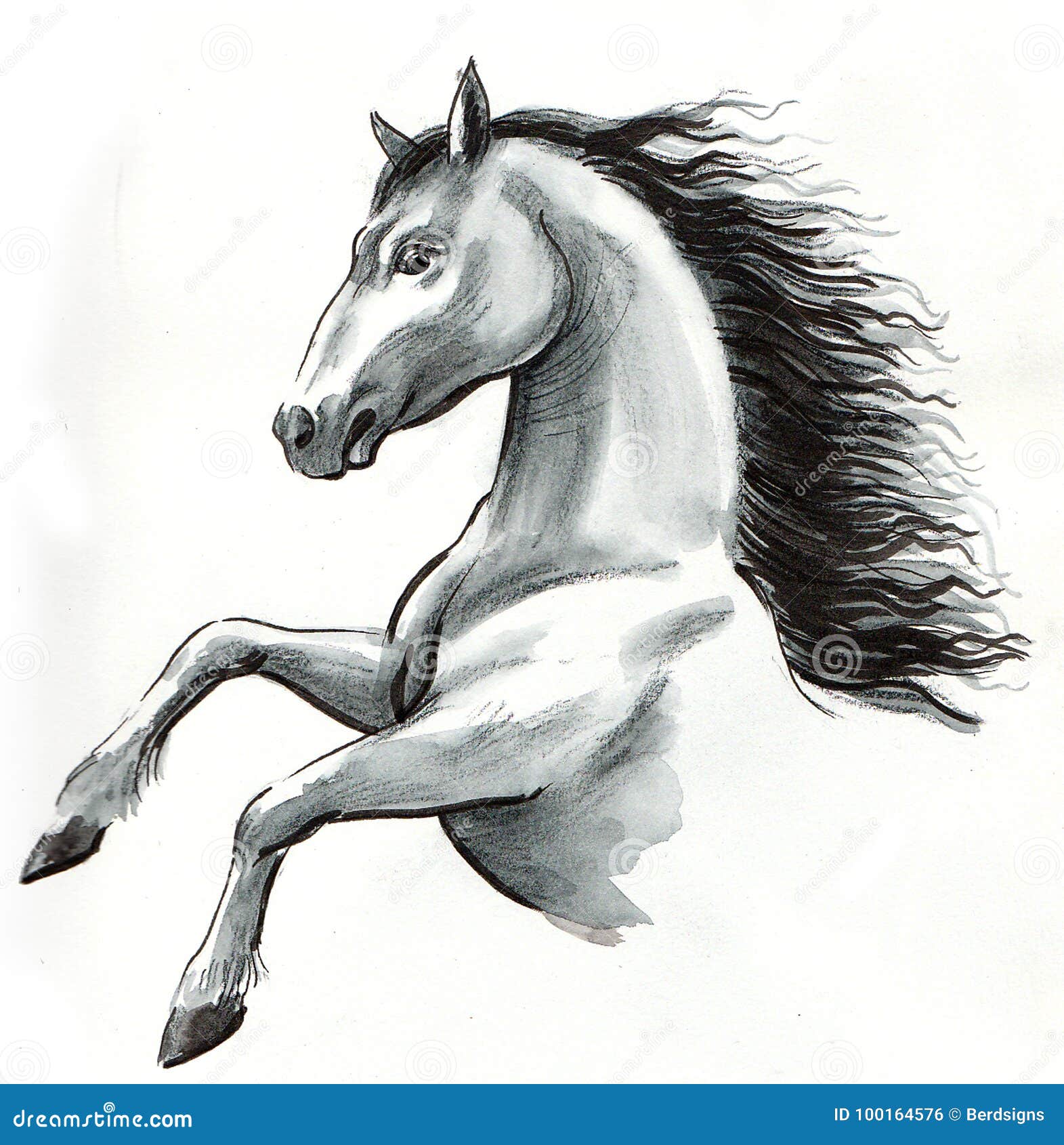 White horse stock illustration. Illustration of stallion - 100164576