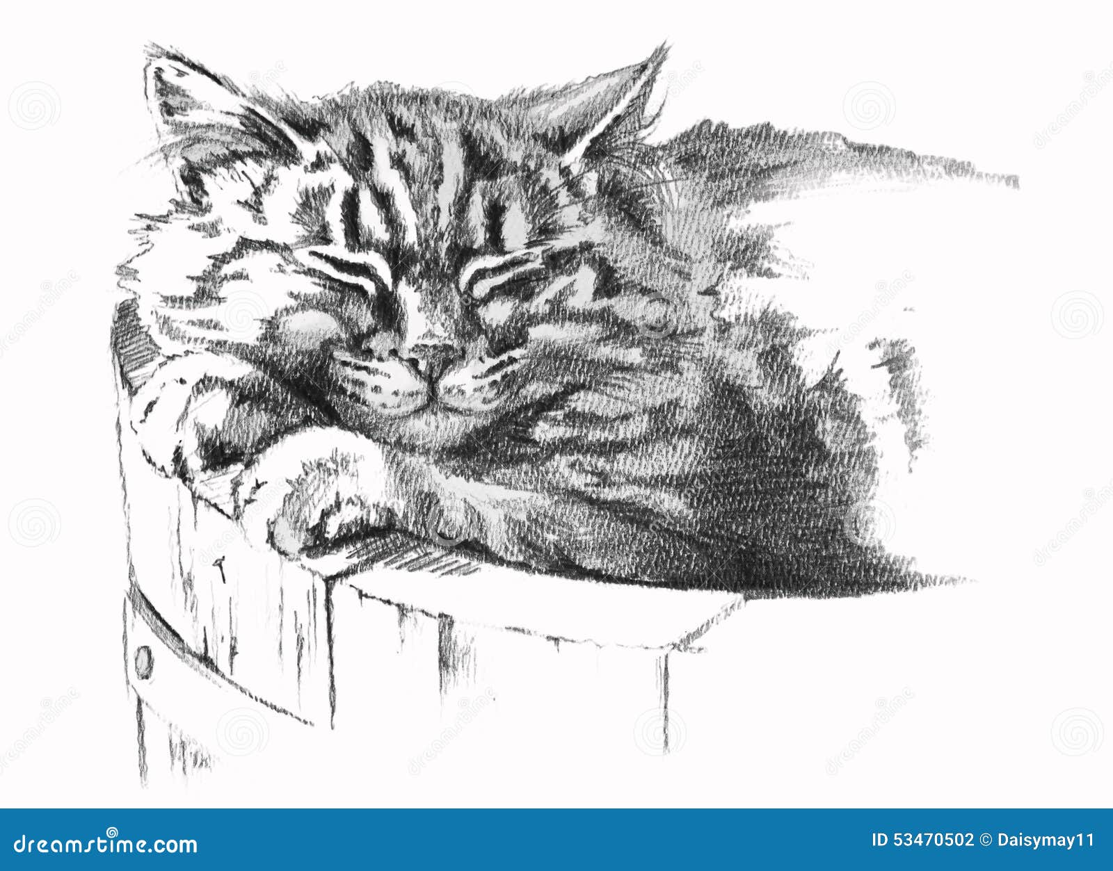 Tabby Cat Drawings for Sale  Fine Art America