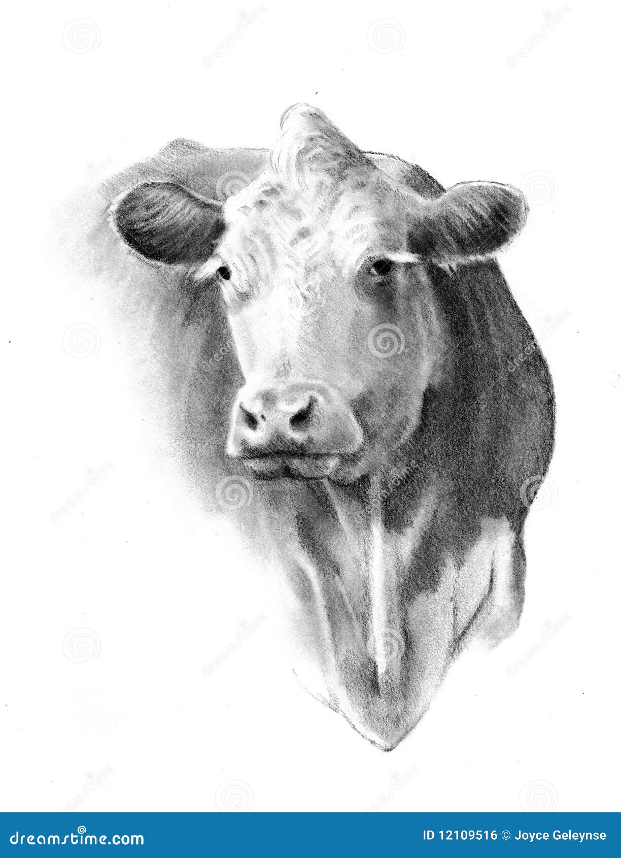 Premium Vector | Cow coloring page for kids
