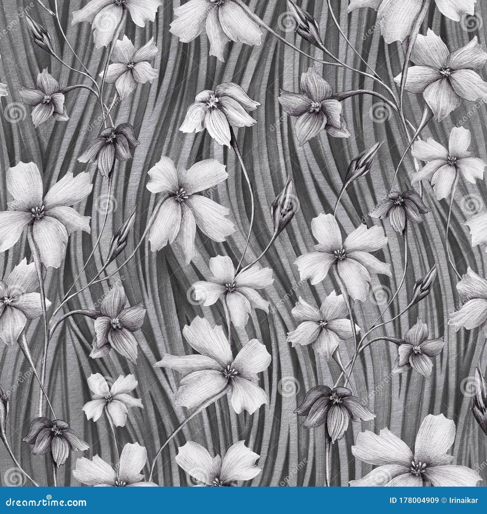 Featured image of post Pencil Drawing Images Of Flowers - We use user sessions to make a directory under temp folder in server we used server side scripts to convert photo to pencil sketch, because its quite easier to apply set of process while drawing pencil sketch image.