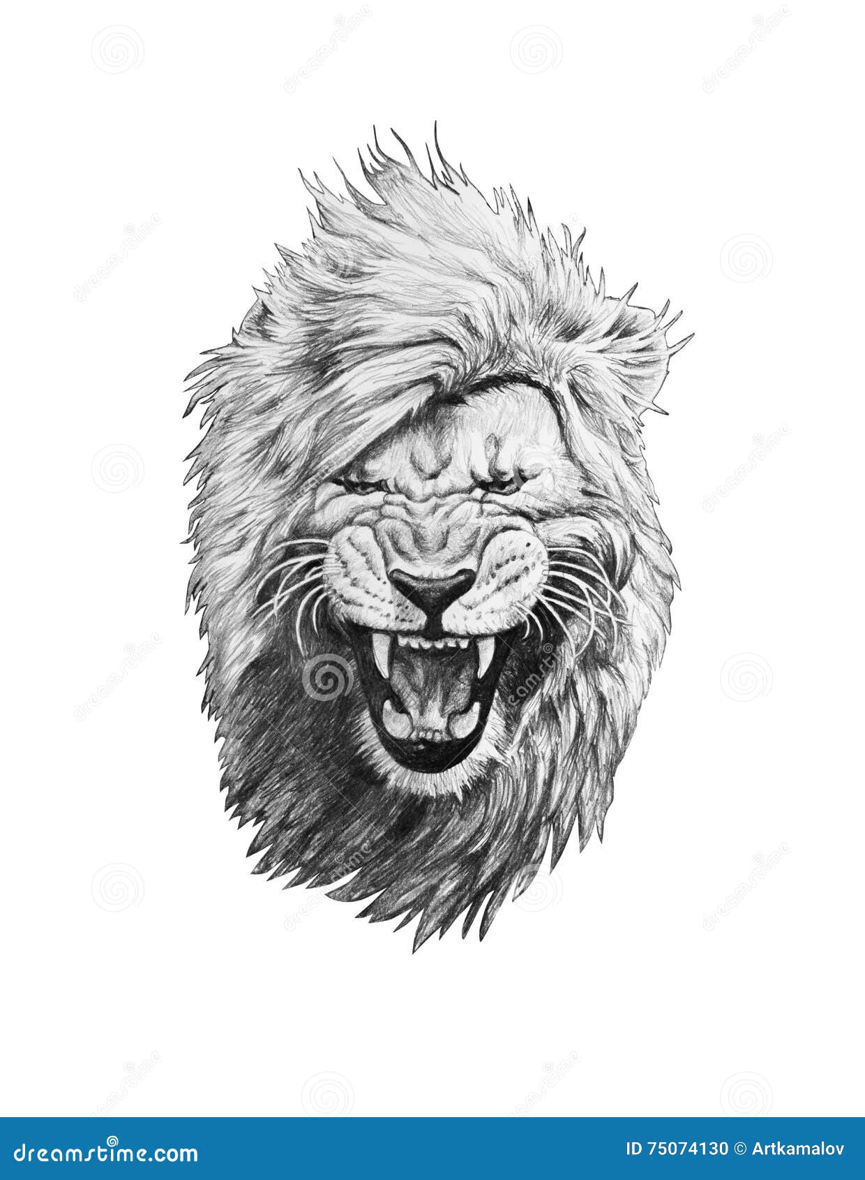 Lion Pencil Sketch Drawing | centenariocat.upeu.edu.pe