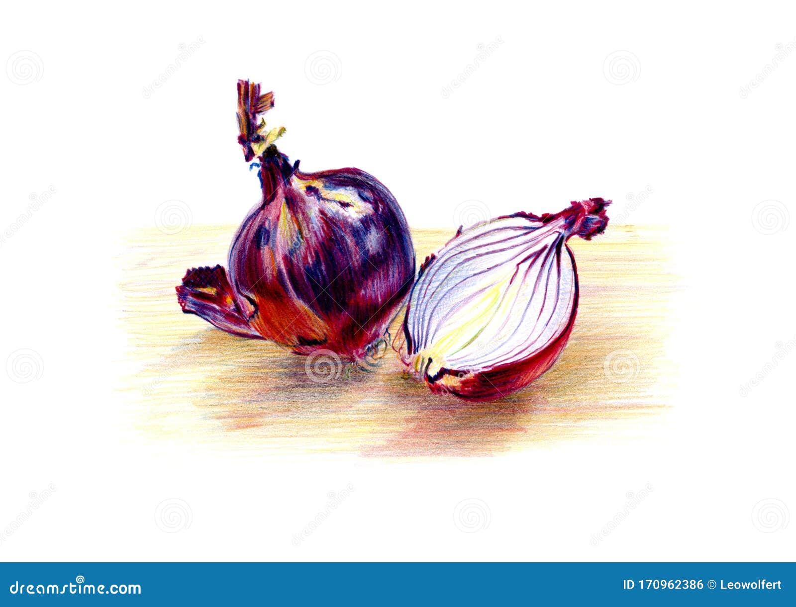 Pencil Drawing of Whole and Halved Red Onion Stock Illustration