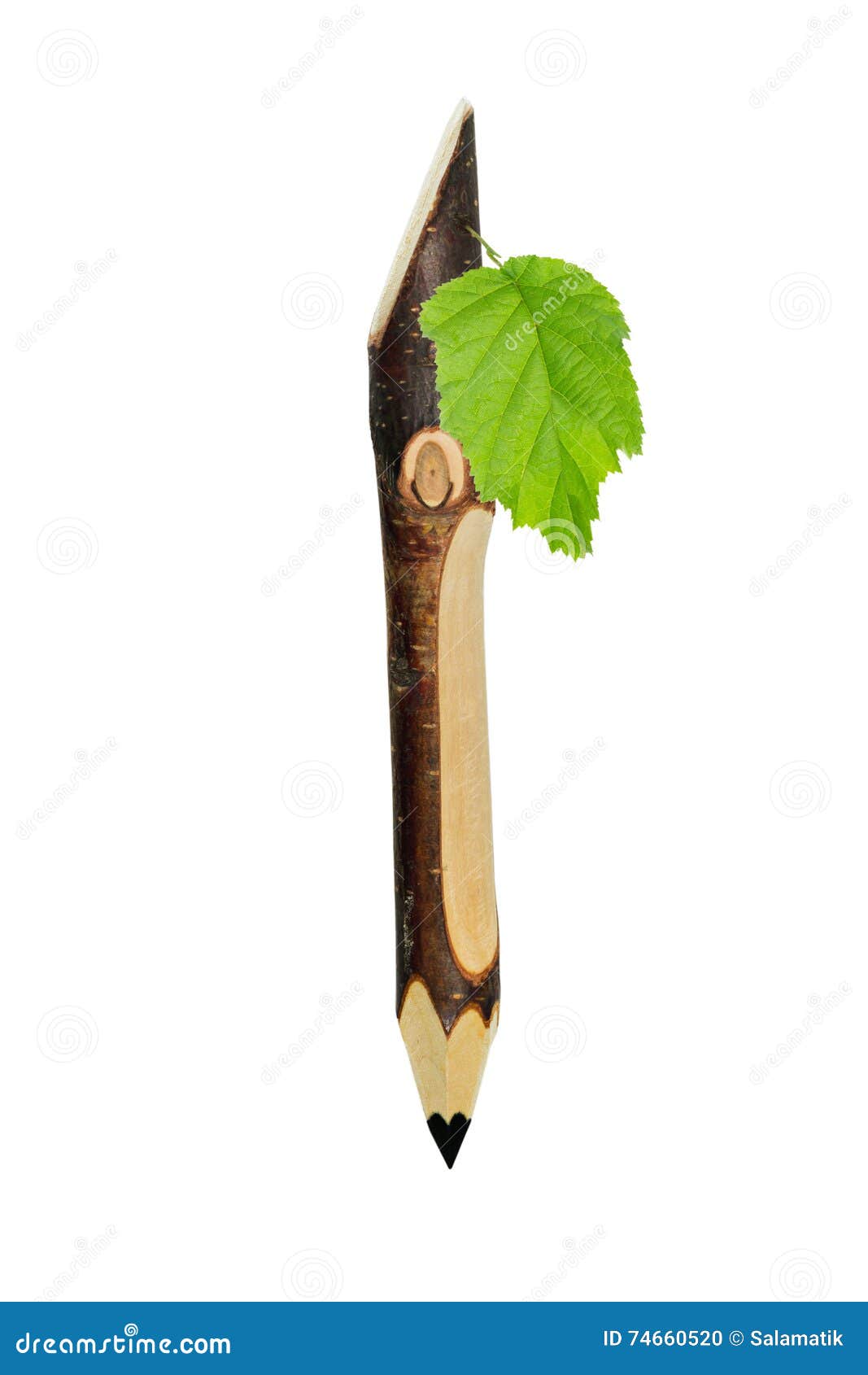 Pencil Made of Wood with Leaf Stock Photo Image of creativity, ideas