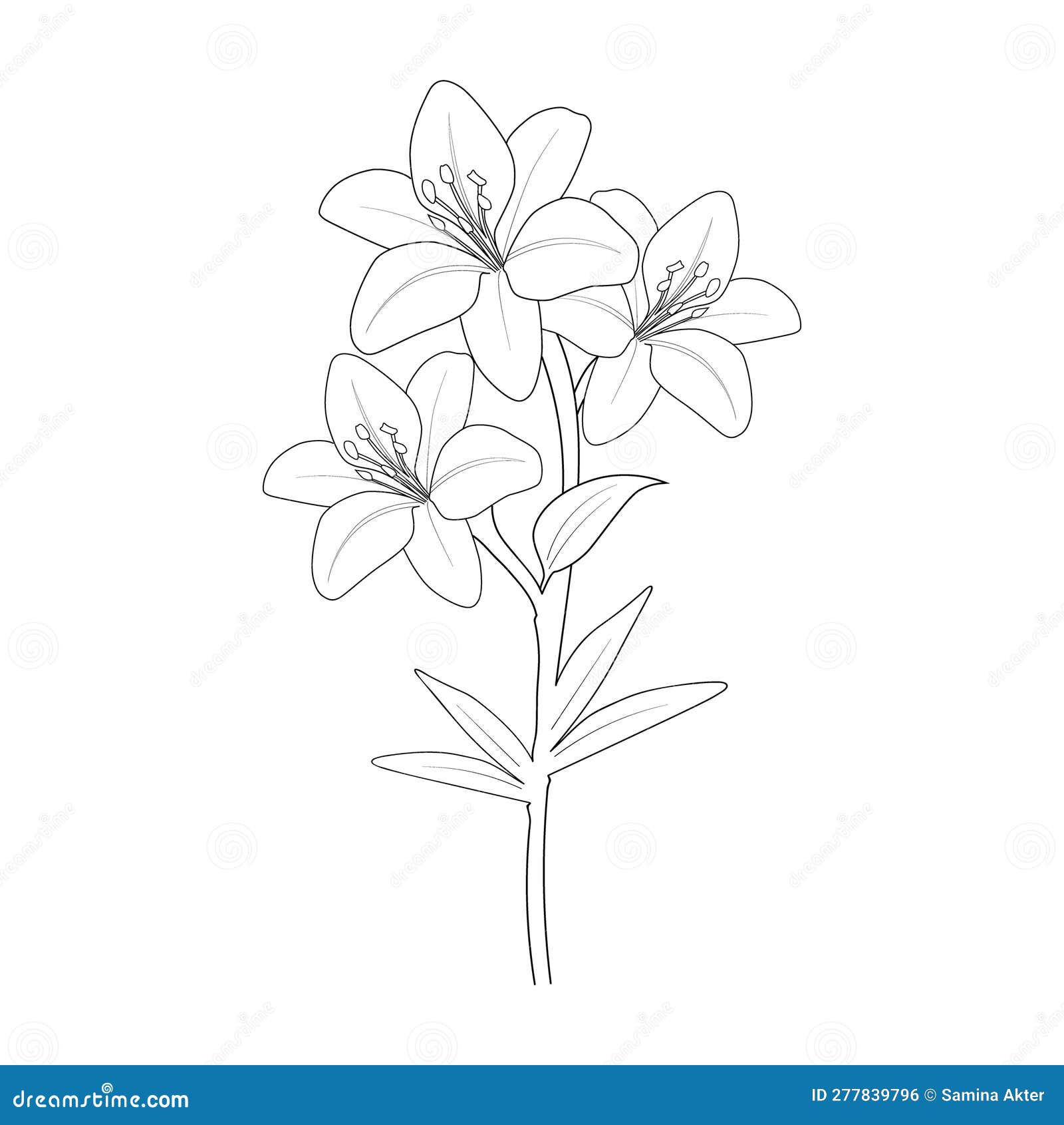 minimalistic black and white art of a symmetrical lily on Craiyon