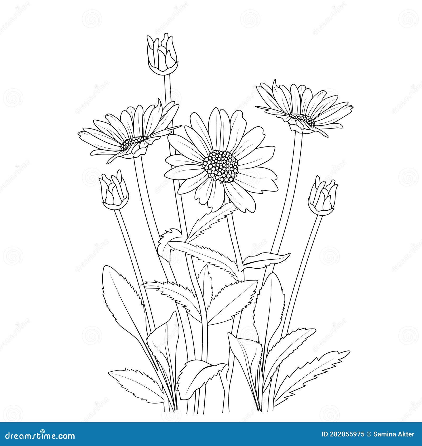 Botanical Daisy Flower Coloring Pages.Blanketflower Flower Drawing ...