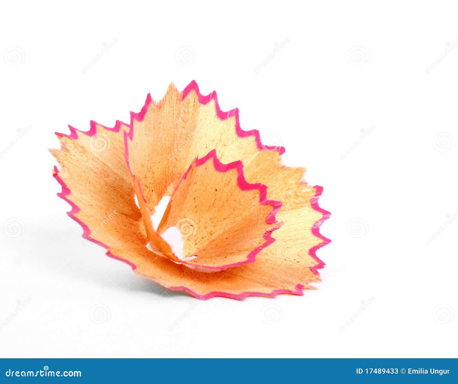 Pencil shavings flower stock image. Image of school, shaving 17489433