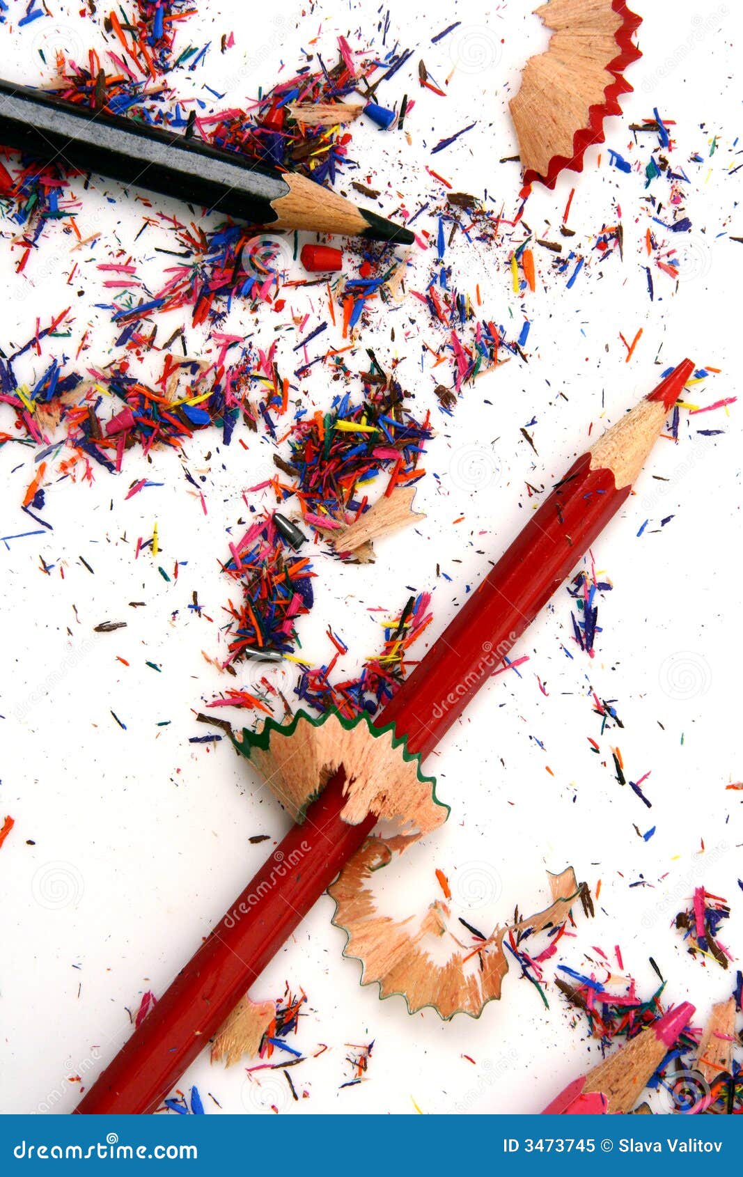 Pencil Shavings isolated stock image. Image of wood, perfection 3473745