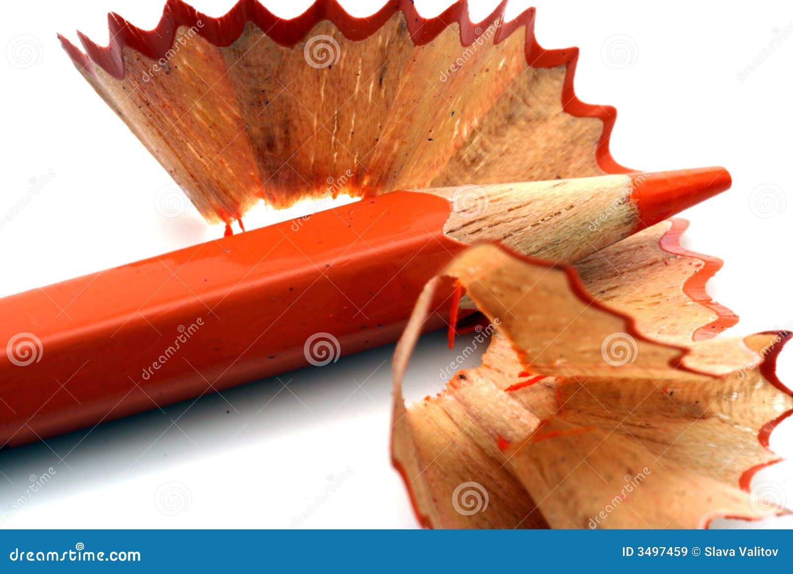 Pencil Shavings isolated stock image. Image of shaving 3497459