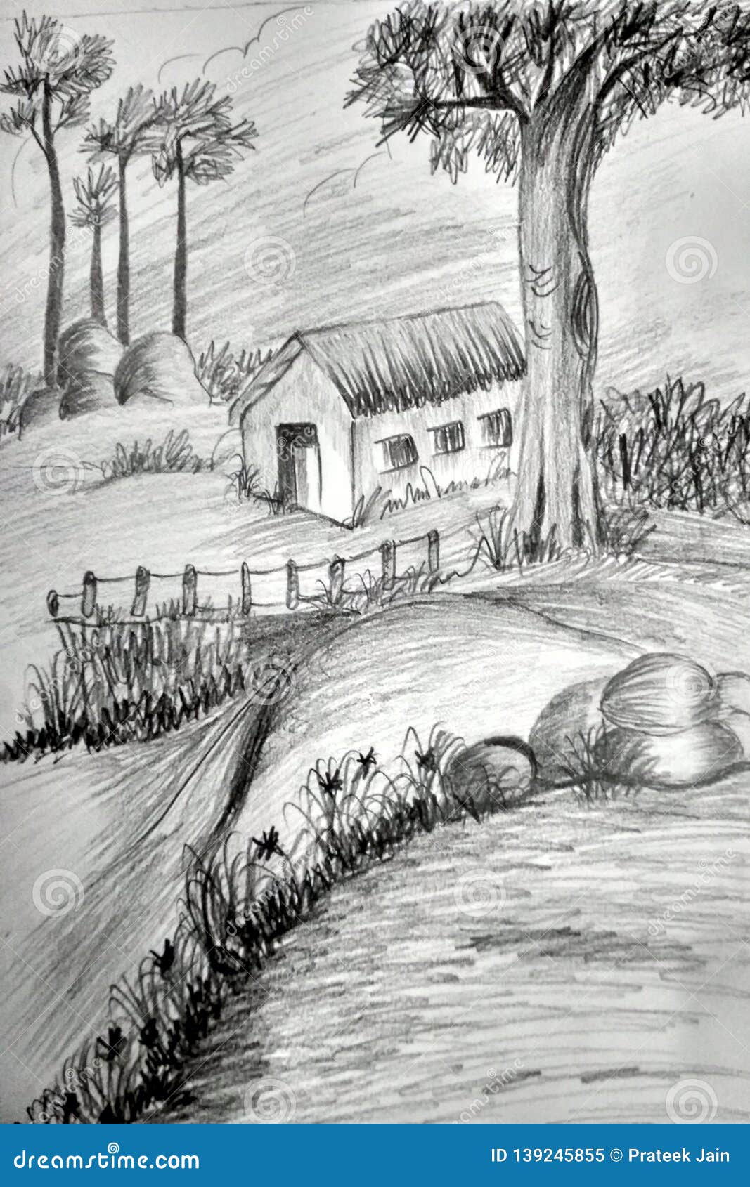 A Pencil Sketch Illustration. Sketch Drawing. Stock Illustration ...