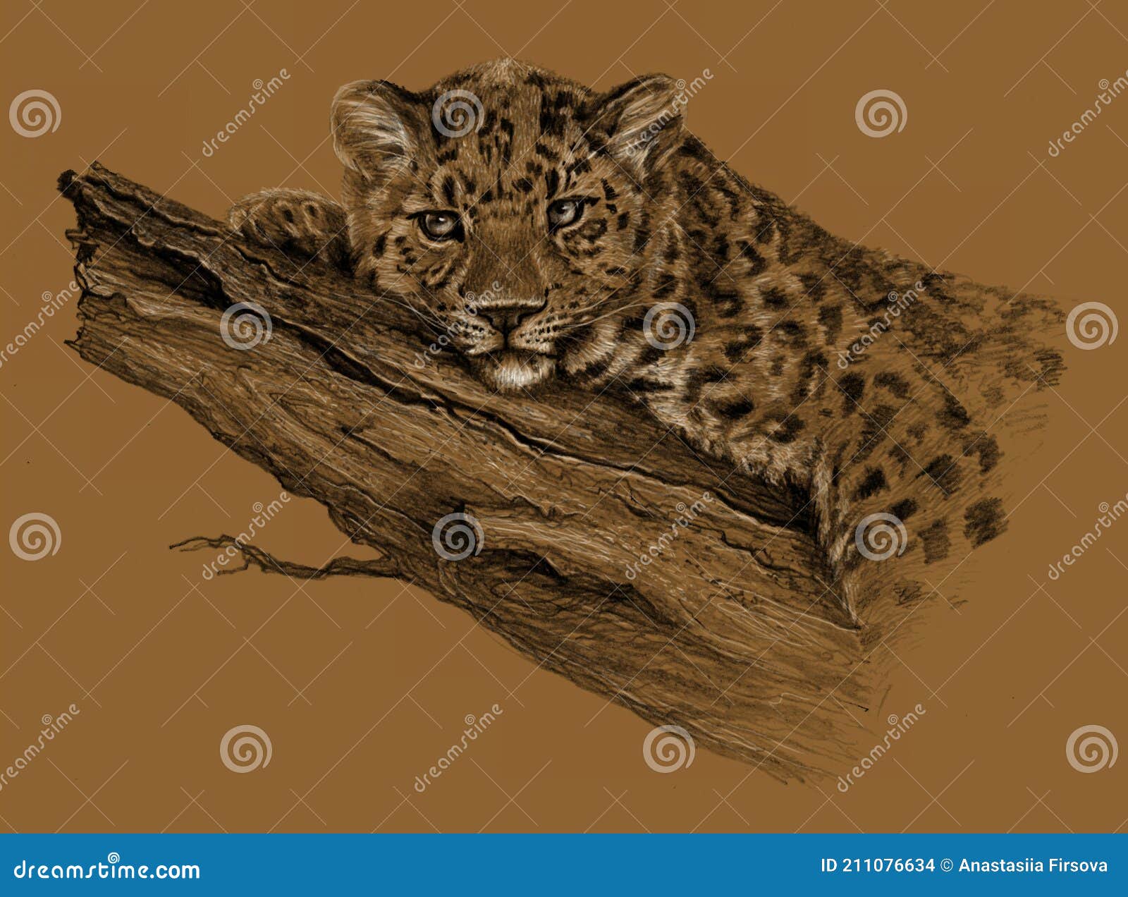 841 Animal Pencil Sketch Stock Photos - Free & Royalty-Free Stock Photos from Dreamstime 841 Animal Pencil Sketch Stock Photos - Free & Royalty-Free Stock Photos from Dreamstime
