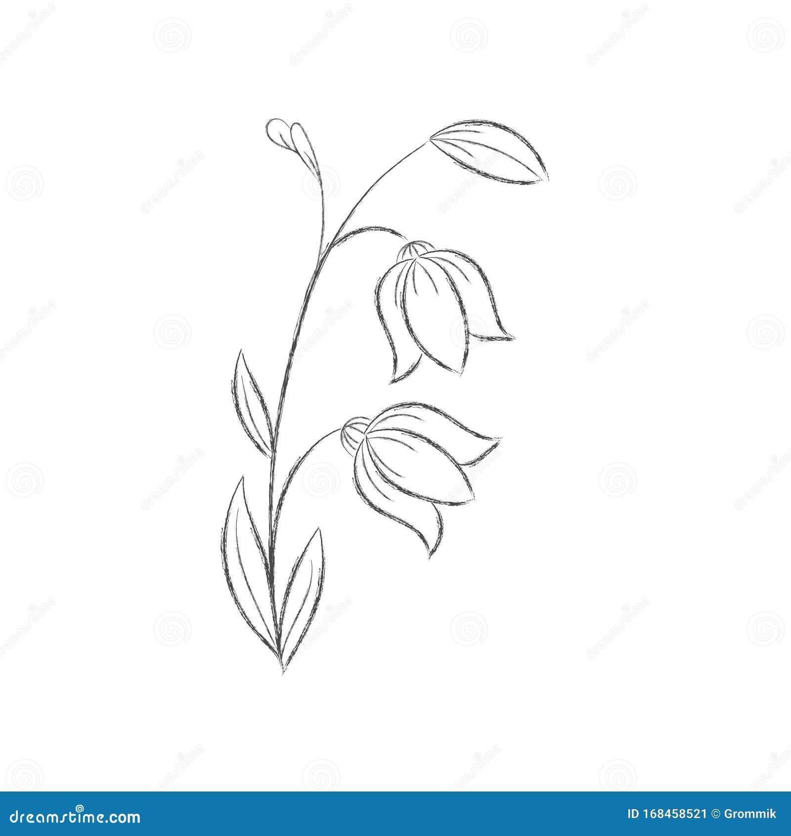 Woman silhouette face with heart as line drawing Vector Image