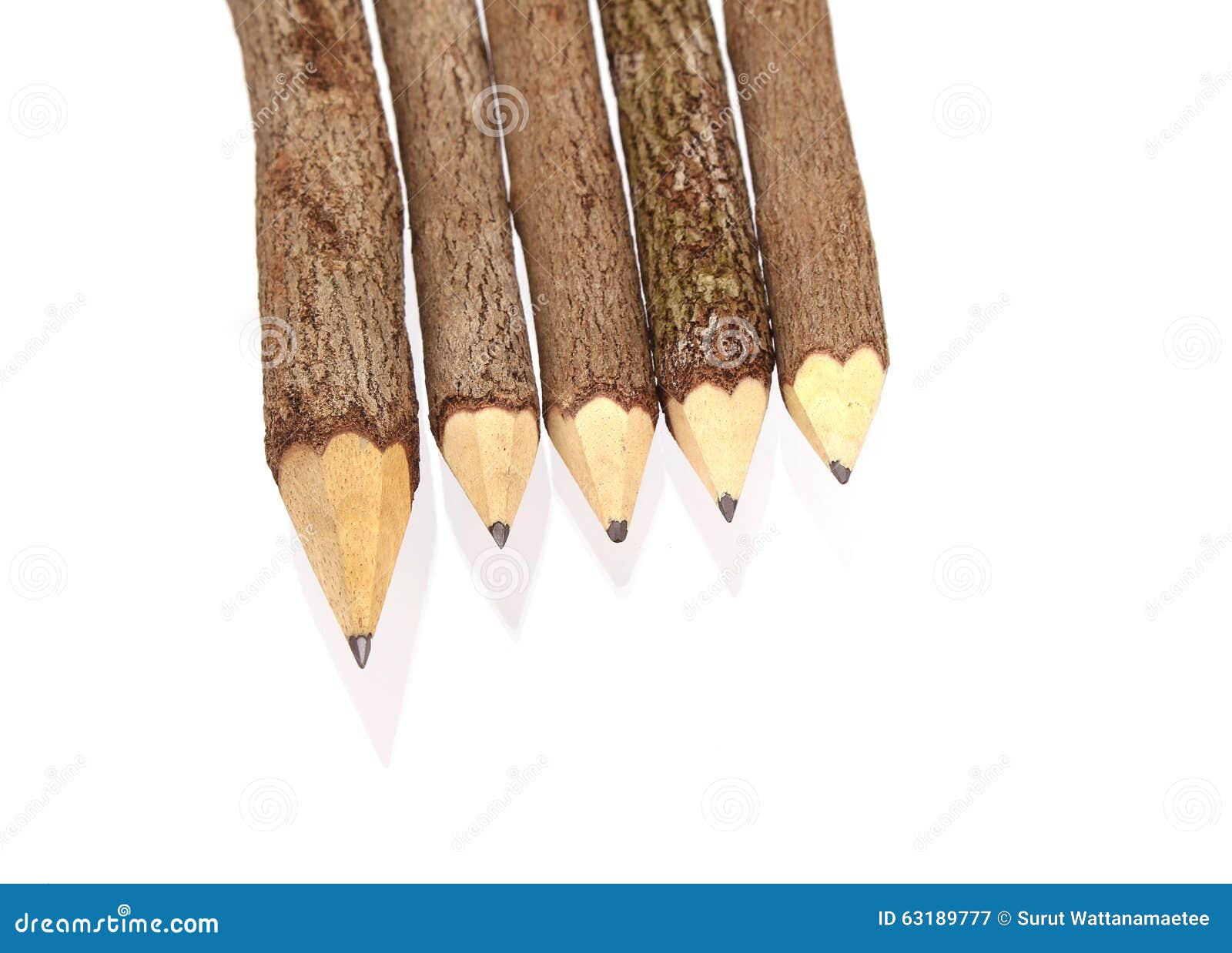 Pencil Wood Bark stock image. Image of hardwood, gungy 63189777