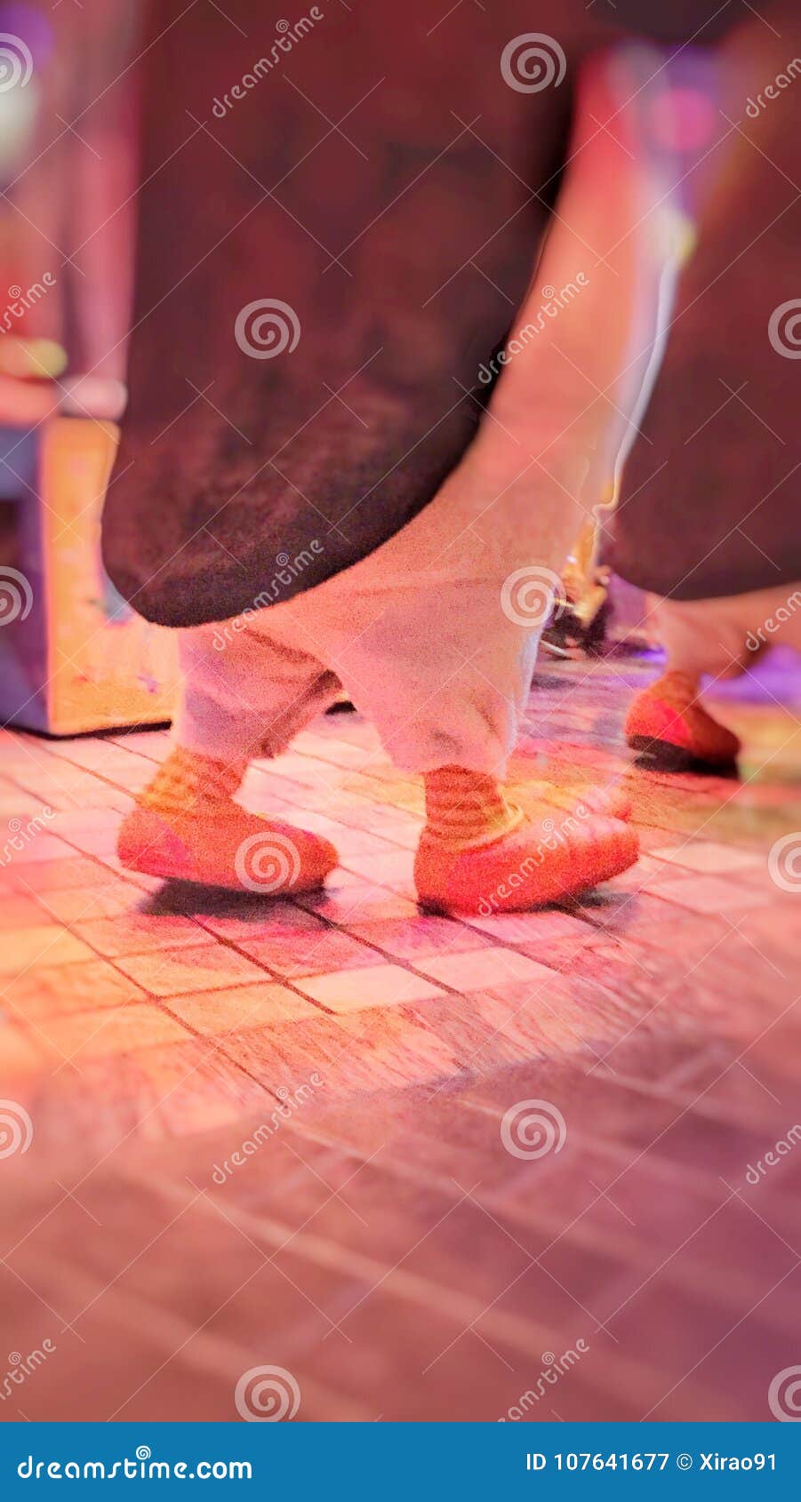 Penguin Legs ???? ??????????????????????????????????? Stock Image Image of legs, color