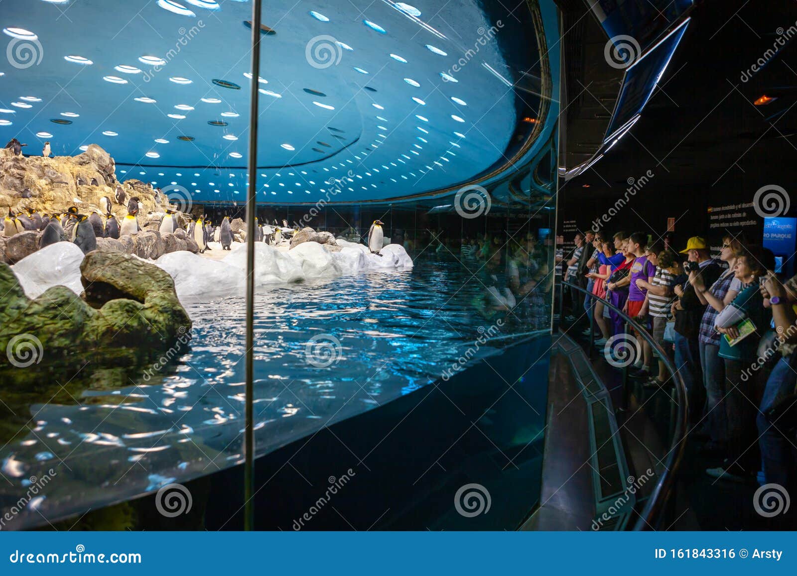 Penguinarium at Loro Parque. Puerto De La Cruz, Tenerife, Spain Editorial Photo - Image of puerto, island: 161843316 Penguinarium at Loro Parque. Puerto De La Cruz, Tenerife, Spain Editorial Photo - Image of puerto, island: 161843316