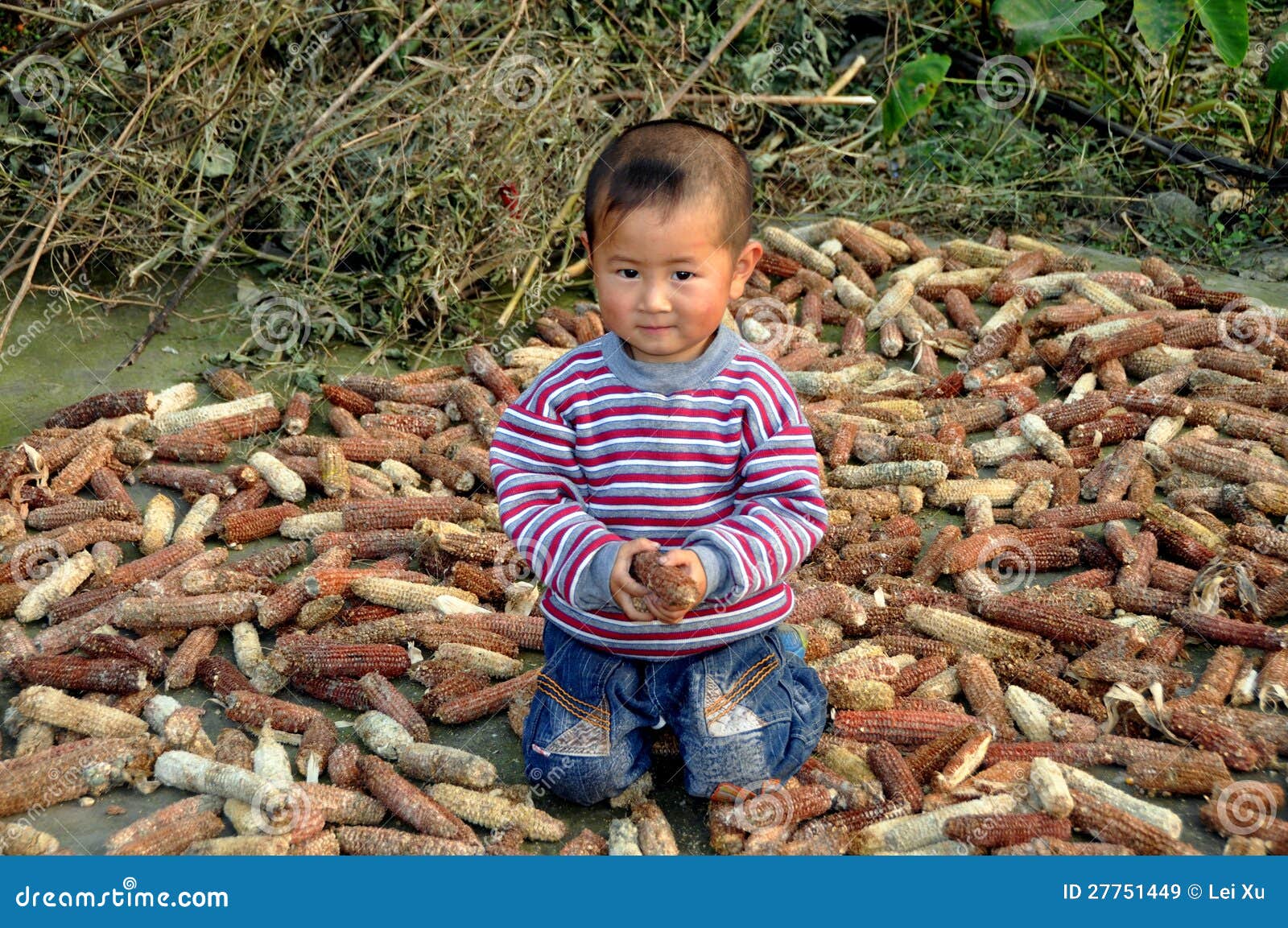 Pengzhou, China Child with Corn Cobs Editorial Stock Image Image of