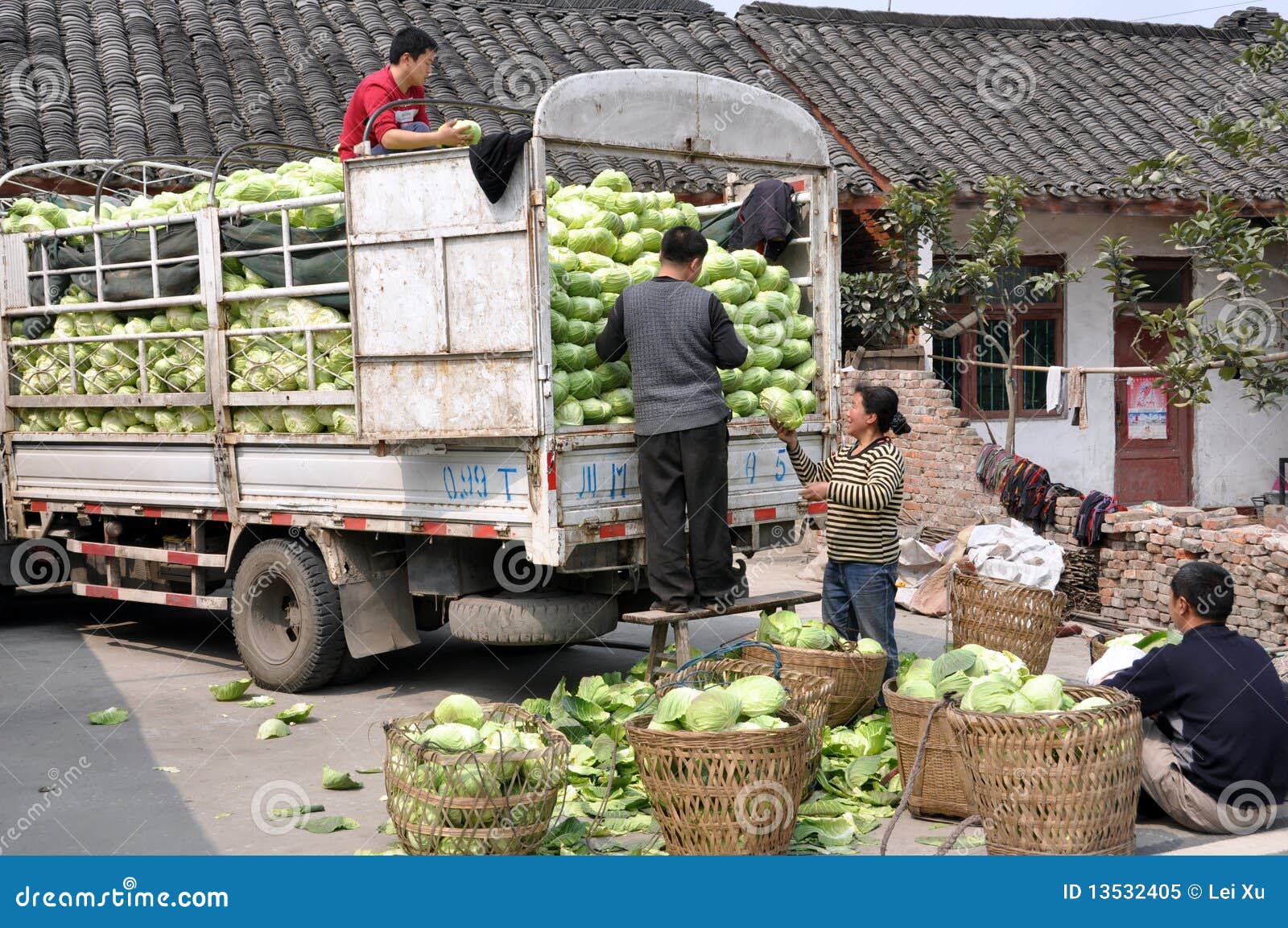 Pengzhou, China Family Loading Cabbages Editorial Image Image of