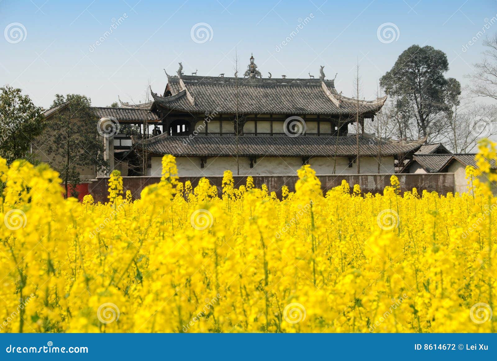 pengzhou, china: jing tu buddhist temple