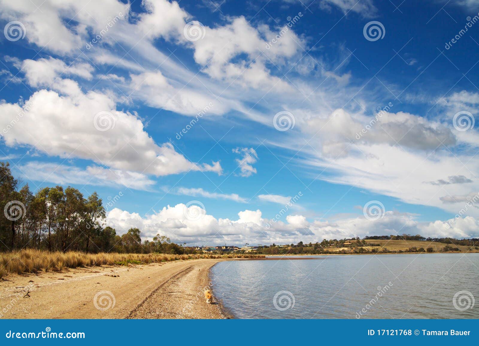 penna beach in tasmania