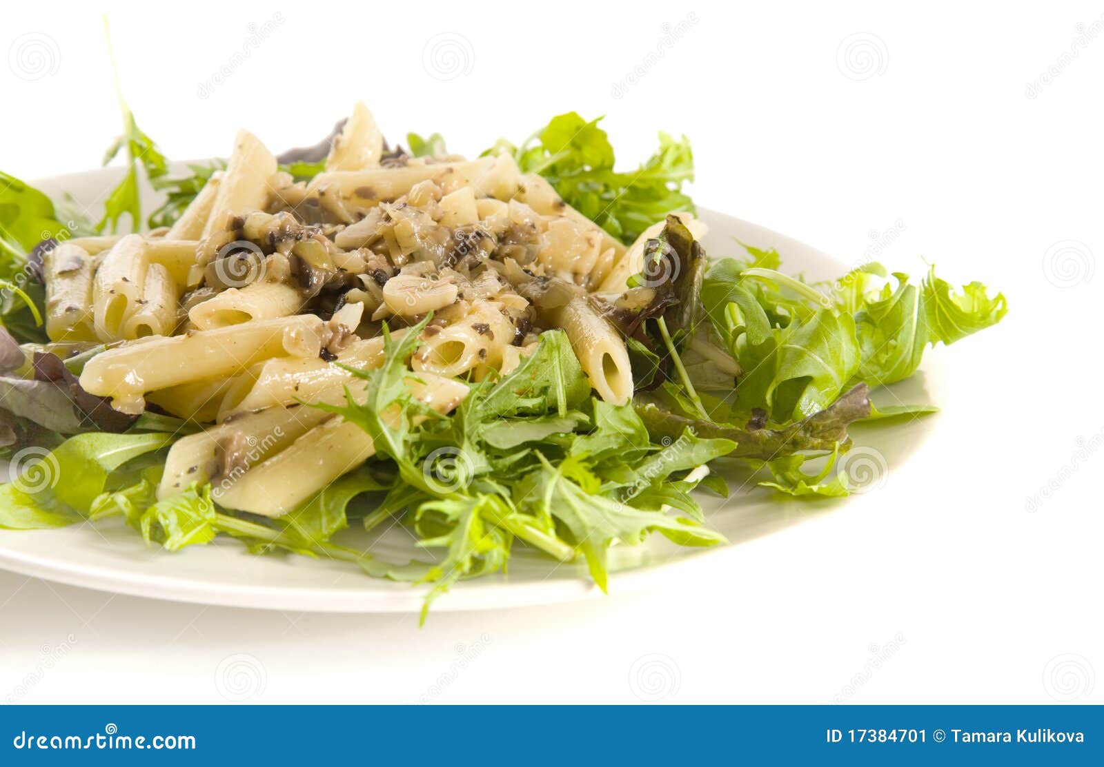 penne paste in creamy mushroom, garlic and onion s