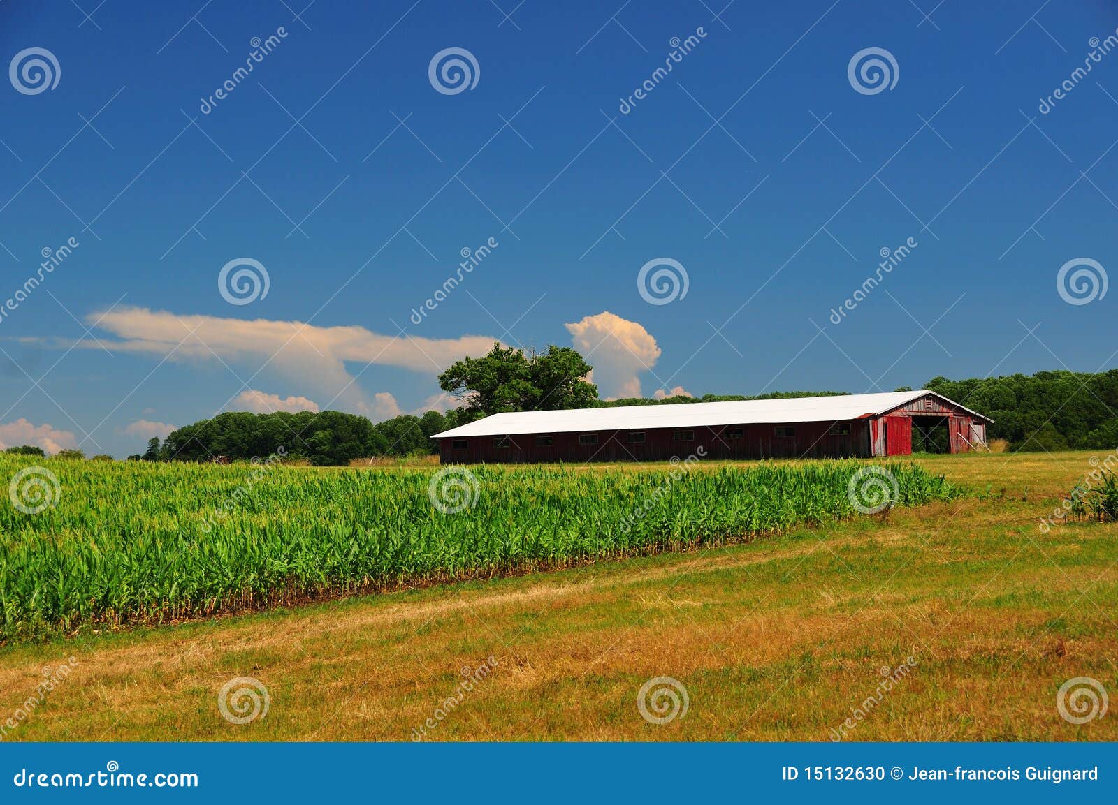 Pennsylvania farmland stock photo. Image of corn, barn 15132630
