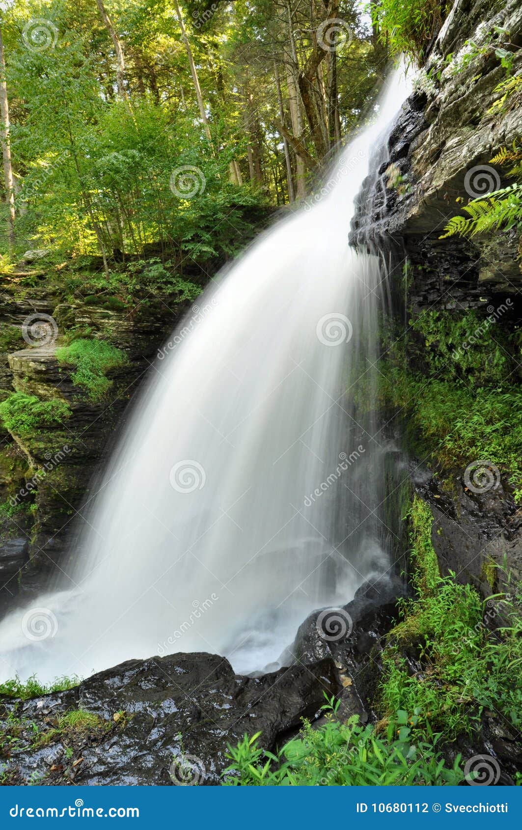 Pennsylvania Waterfall stock photo. Image of trees, nature 10680112