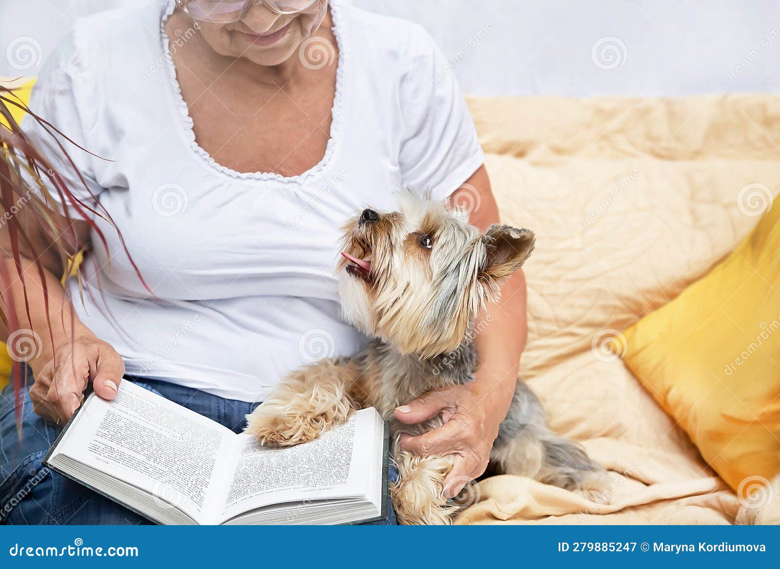pensioner and animal enjoying rest together. senior woman hugging lovely yorkshire terrier (york) dog.