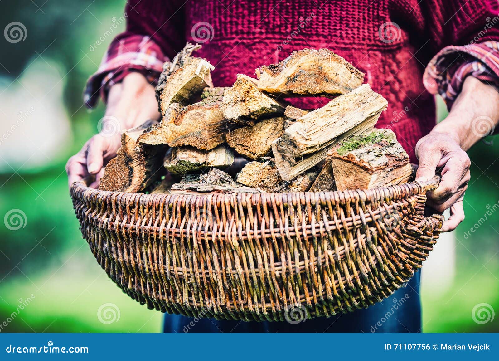 pensioner farmer holding basket full of firewood. man senior holding wood out of a basket to ignite the fireplace