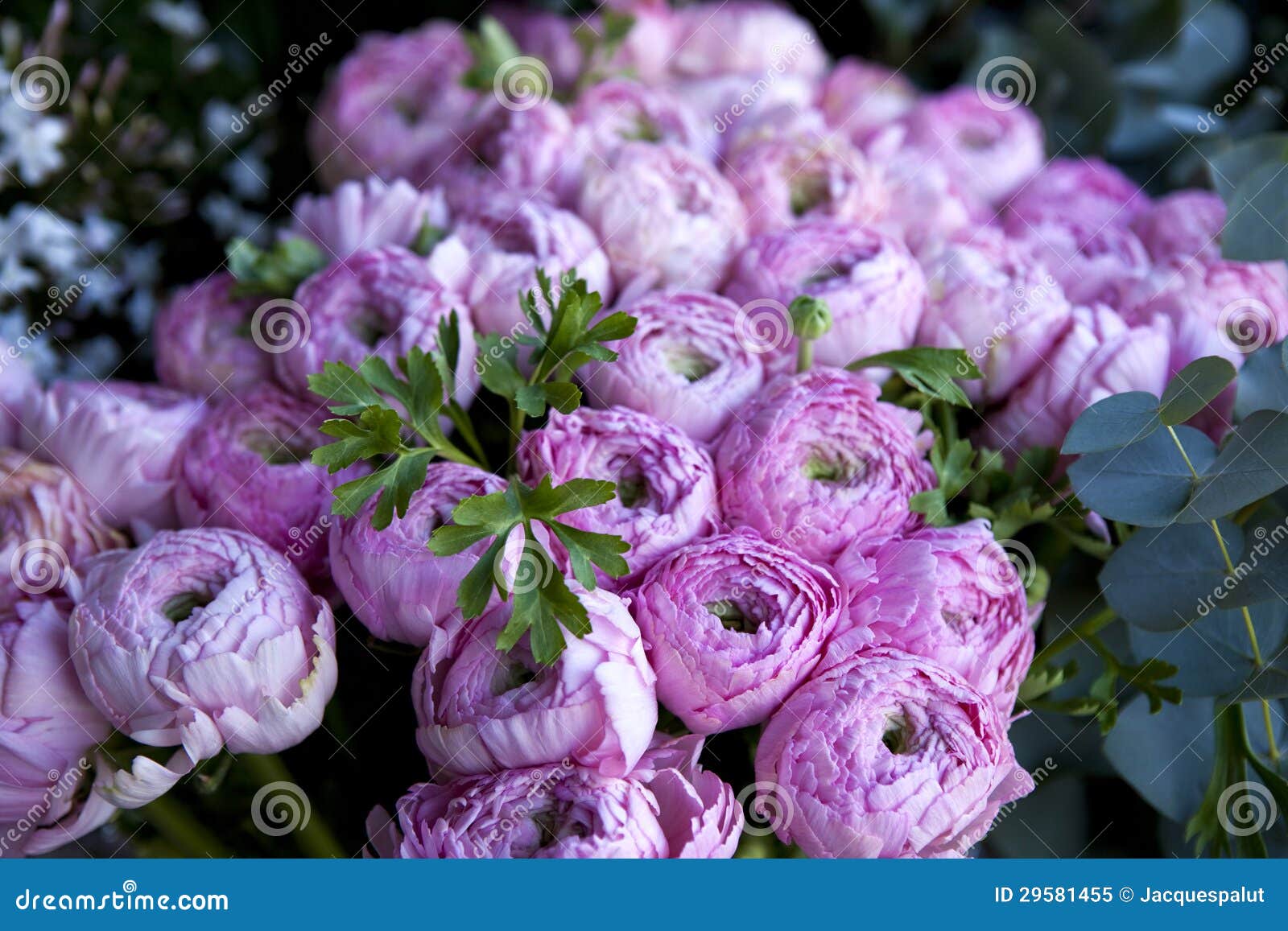 peonies