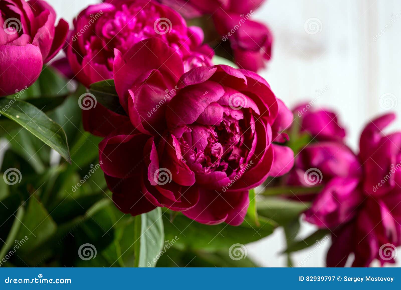 peonies