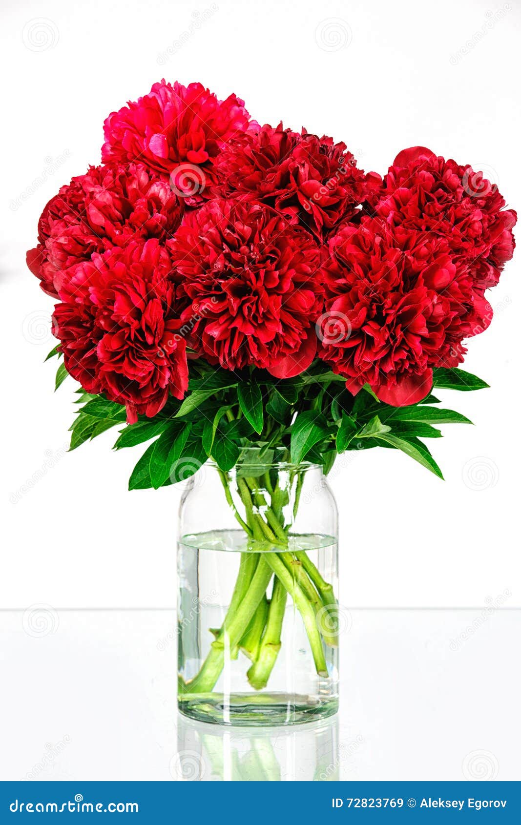 Peonies in a Glass Vase with Water Stock Image Image of nature