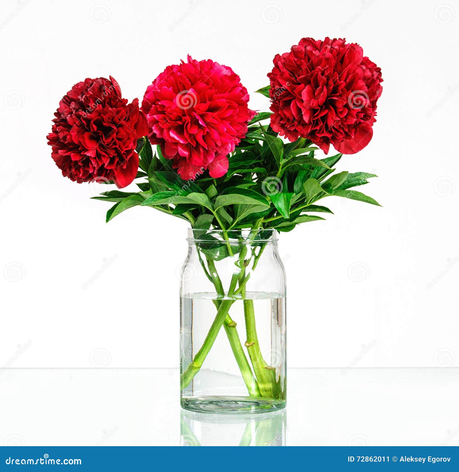 Peonies in a Glass Vase with Water Stock Image Image of flora