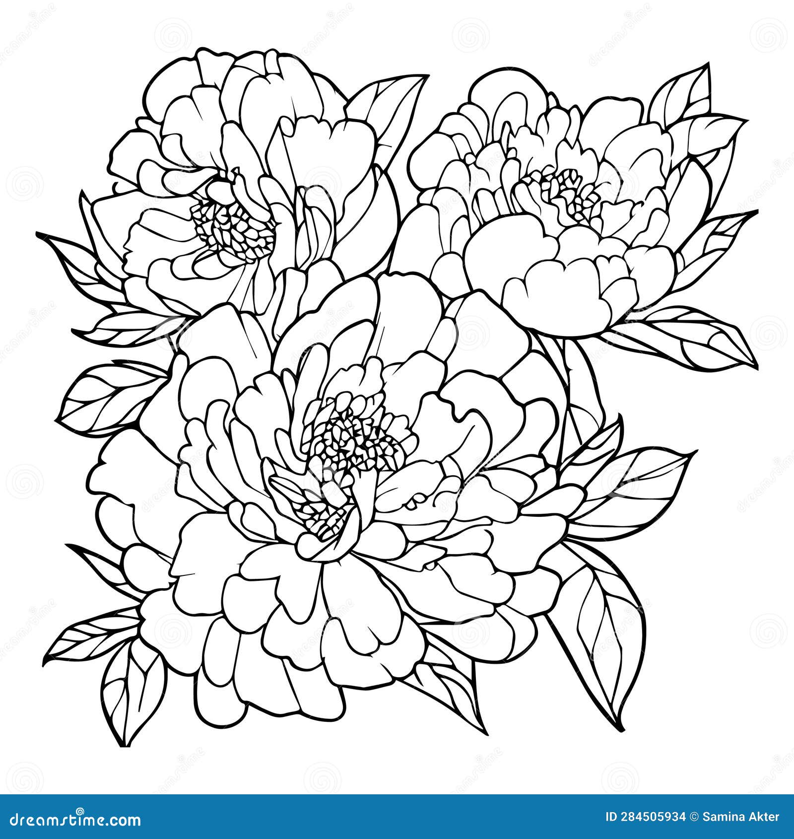 Peony Flower Drawing, Vector Sketch Hand Drew Illustration Artistic ...