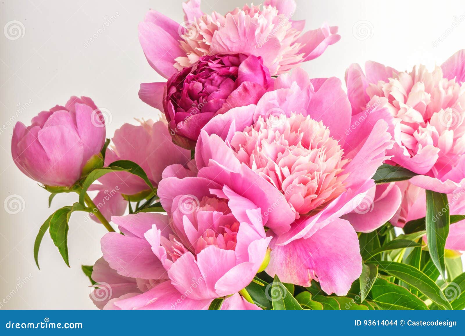 Peony Flowers Bouquet. Springtime Fresh Natural Composition Stock Photo -  Image of beauty, flowers: 93614044