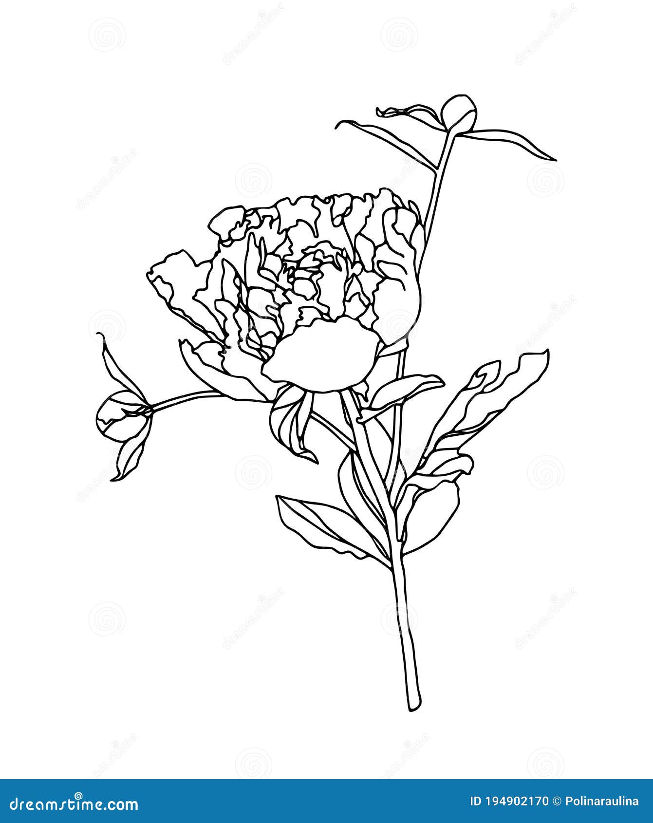 Free Free 77 Flower Outline Svg Free SVG PNG EPS DXF File