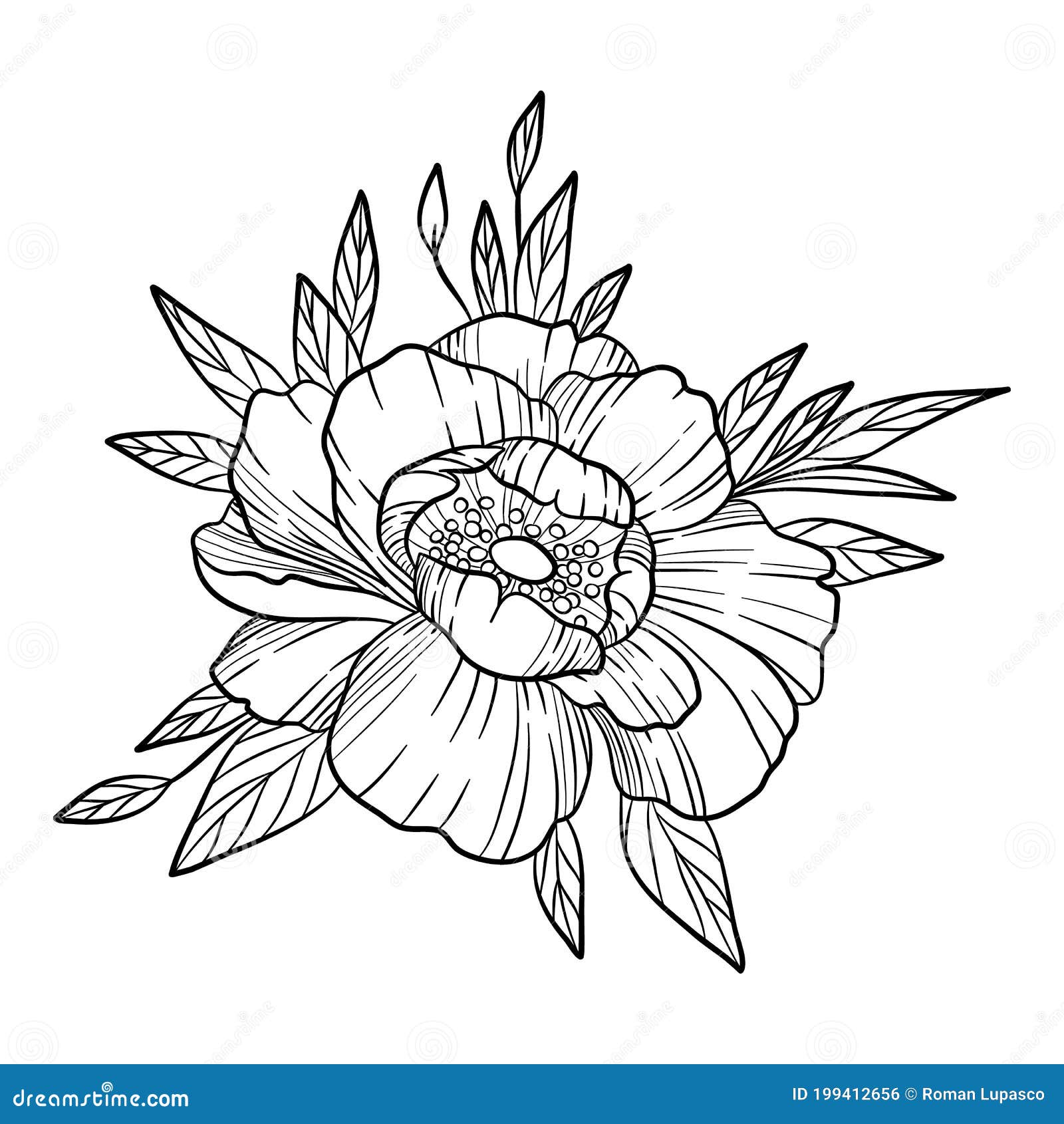 Peony Rose Icon, Hand Drawn and Outline Style Stock Vector ...