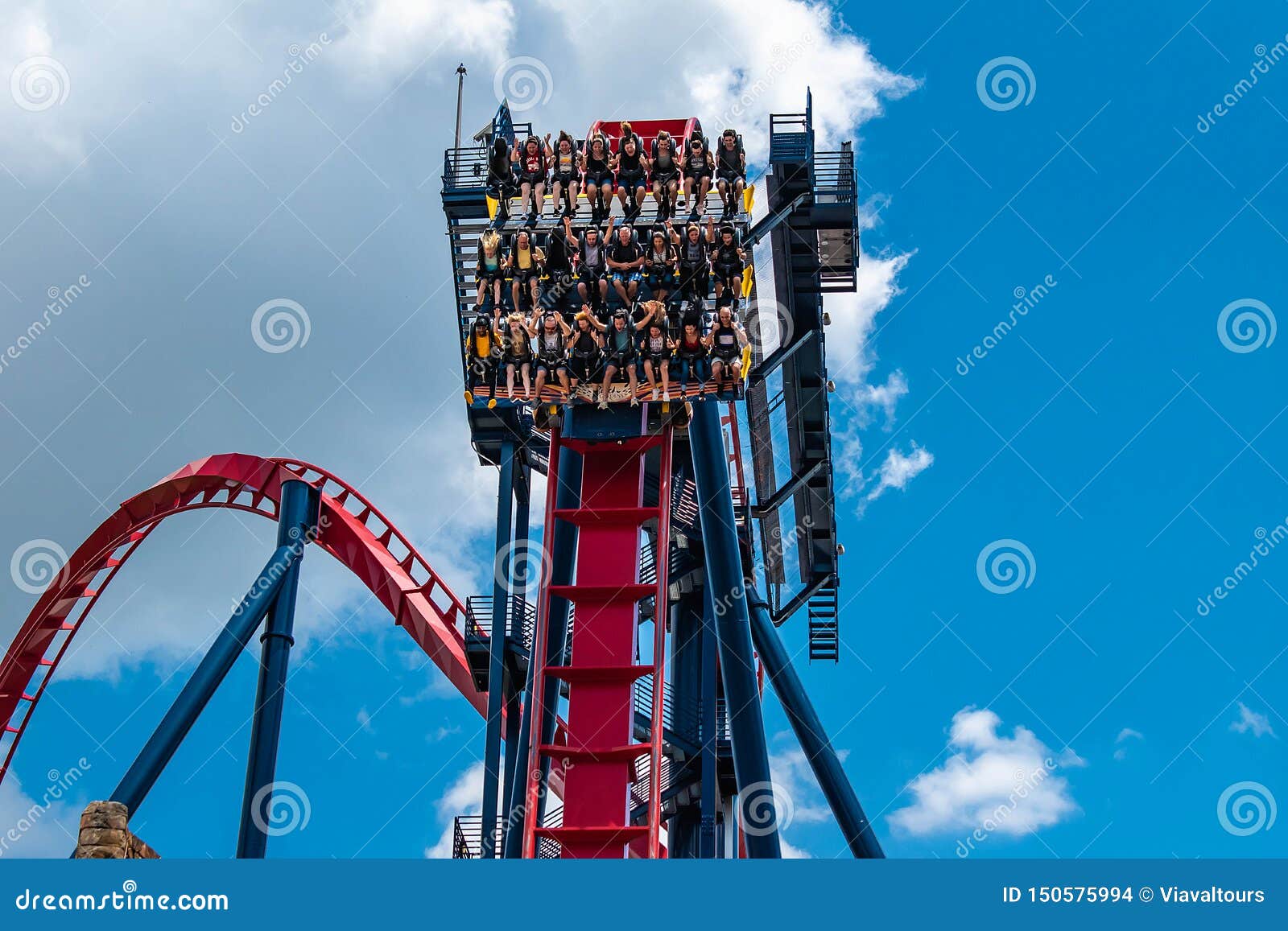 People Enjoying Terrific Sheikra Rollercoaster At Busch Gardens 11