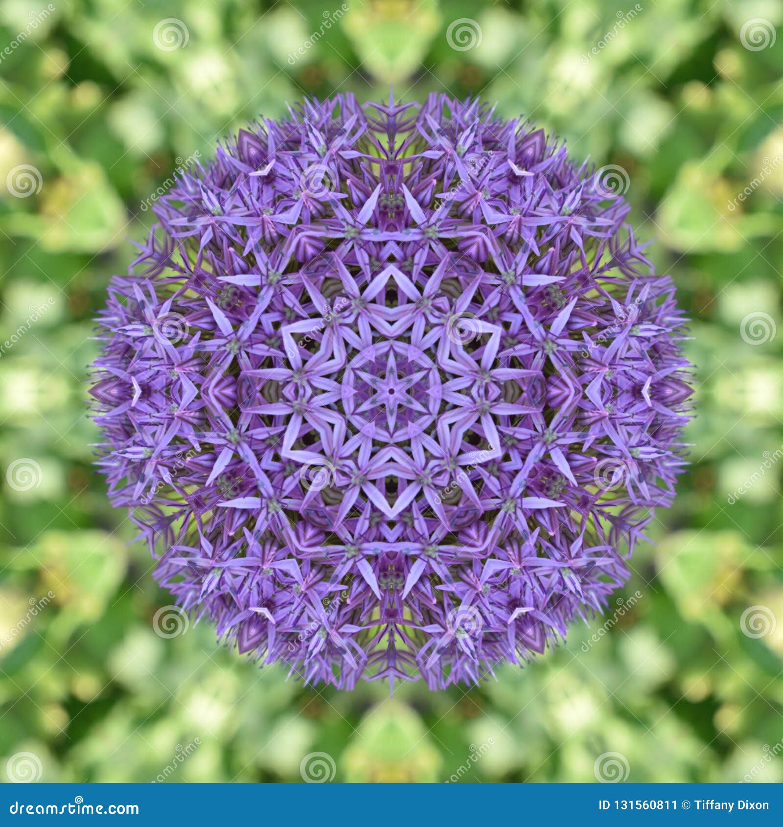 purplr kaleidoscope image purplr kaleidoscope image