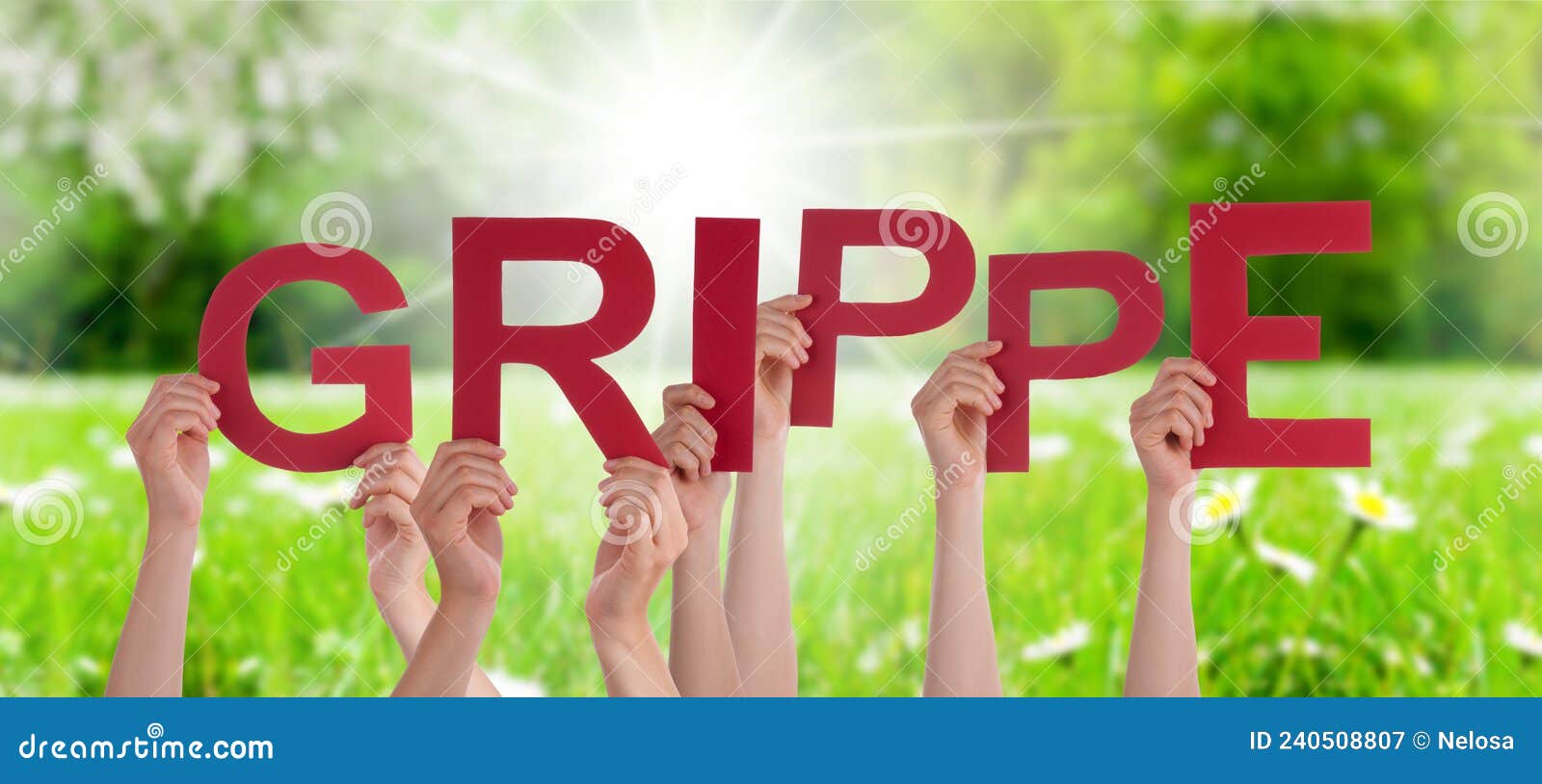 people hands holding word grippe means flu, grass meadow