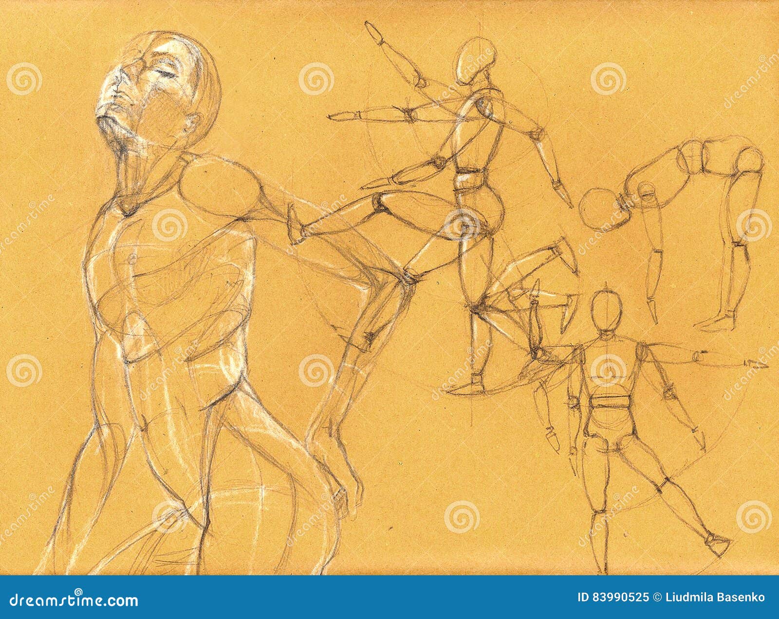 Figure Drawing Model Poses, Here are six steps to take to pursue a career  as a figure drawing model: 1.