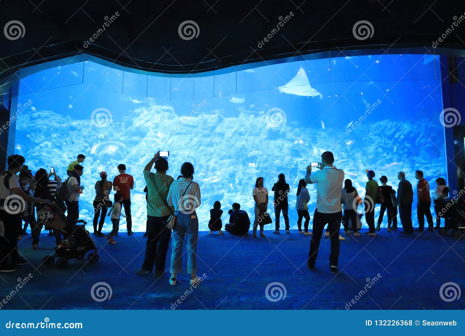 People Visiting a Large Aquarium at Theme Park Editorial Stock Photo