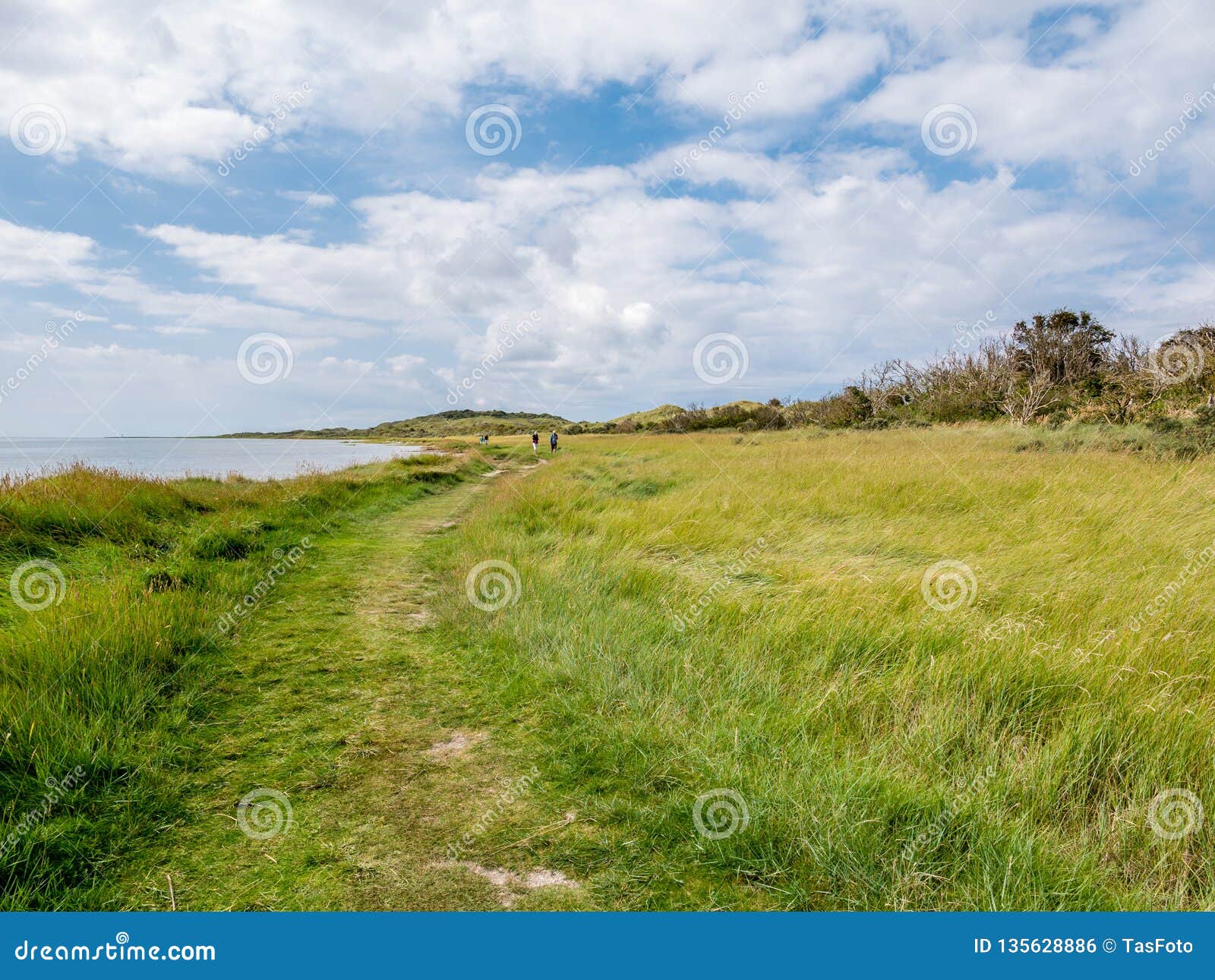 people walking on footpath in nature reserve het oerd at waddensea coast of west frisian island ameland, netherlands
