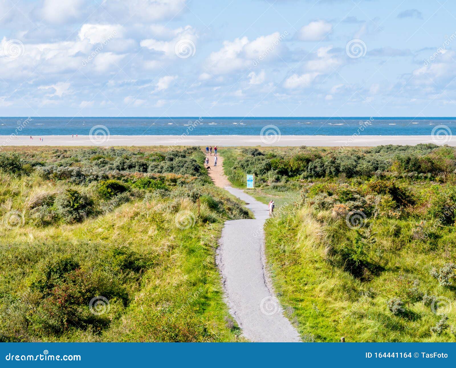 people walking on footpath to north sea beach of schiermonnikoog, netherlands