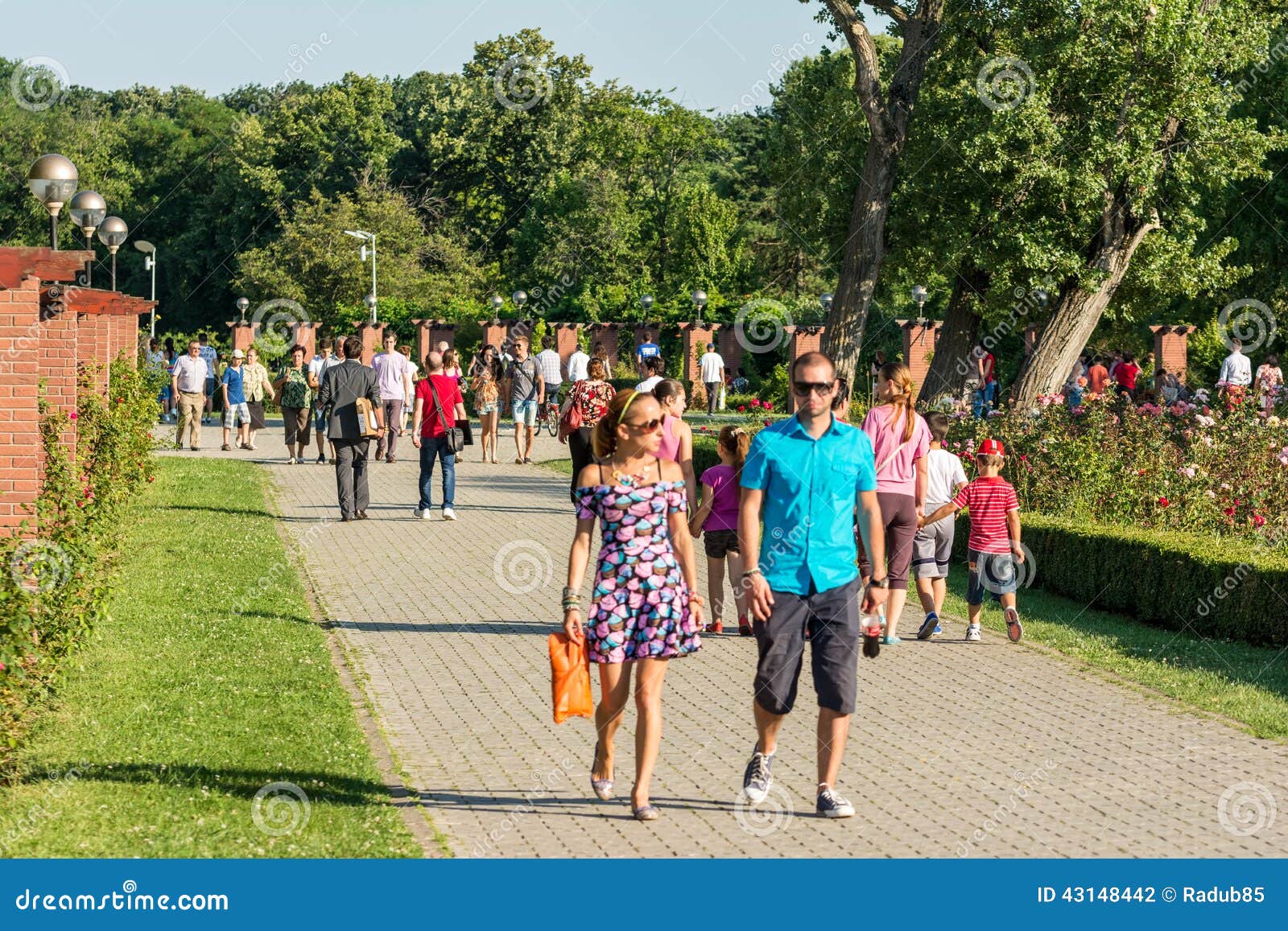 people walking in the park