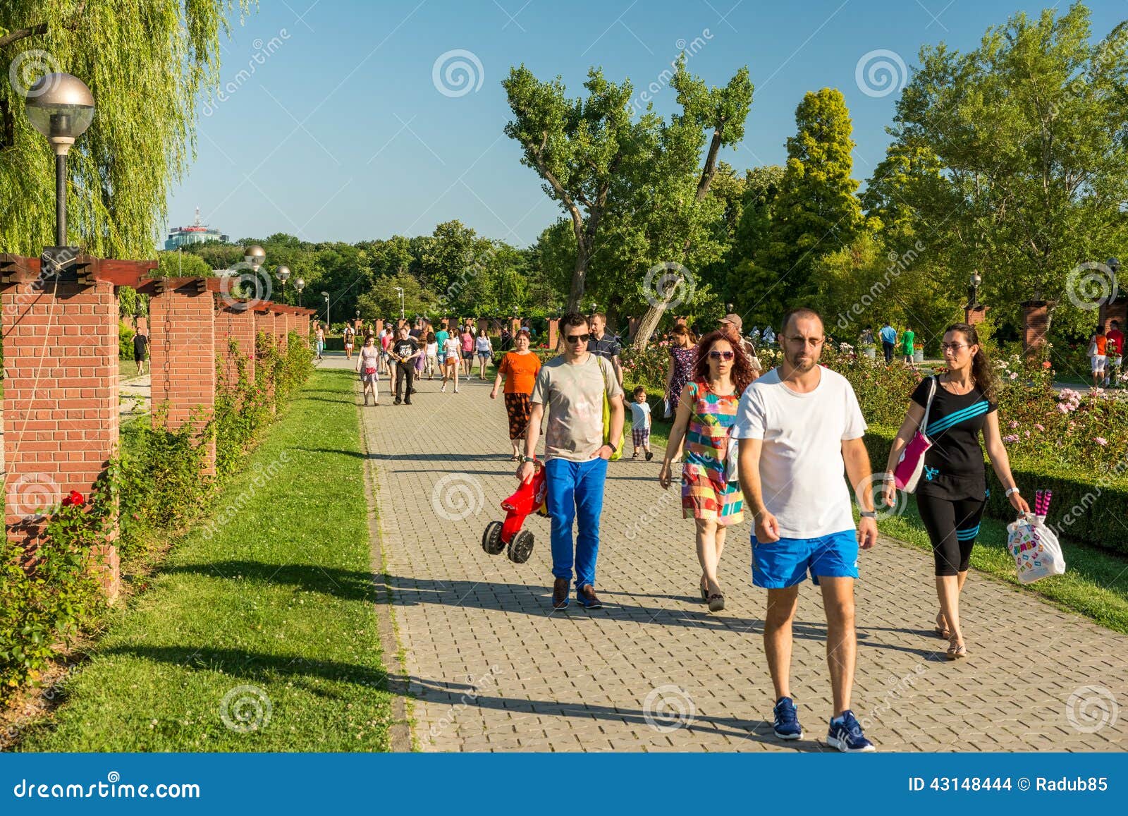 people walking in the park