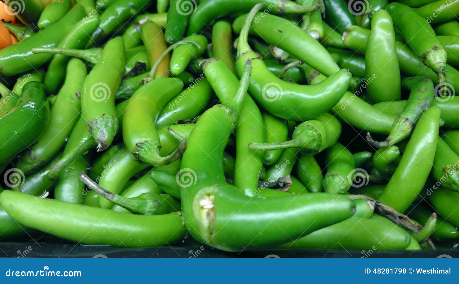 20 Semi Di Peperoncino Serrano - Chili Messicano Piccante, Frutti Rossi, Capsicum Annum - Foto 13