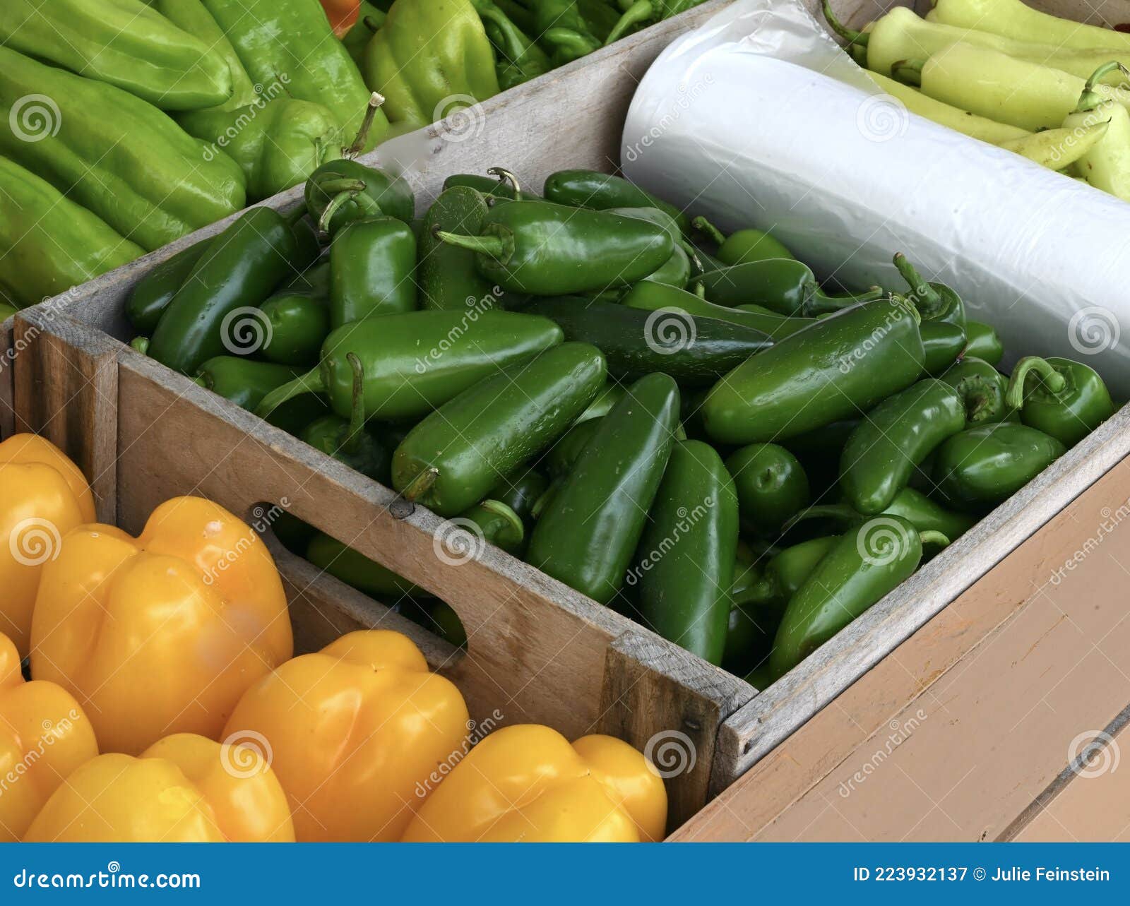 Peperoncini Di Jalapeno, Freschi Raccolti Immagine Stock - Immagine di  verdure, caldo: 223932137