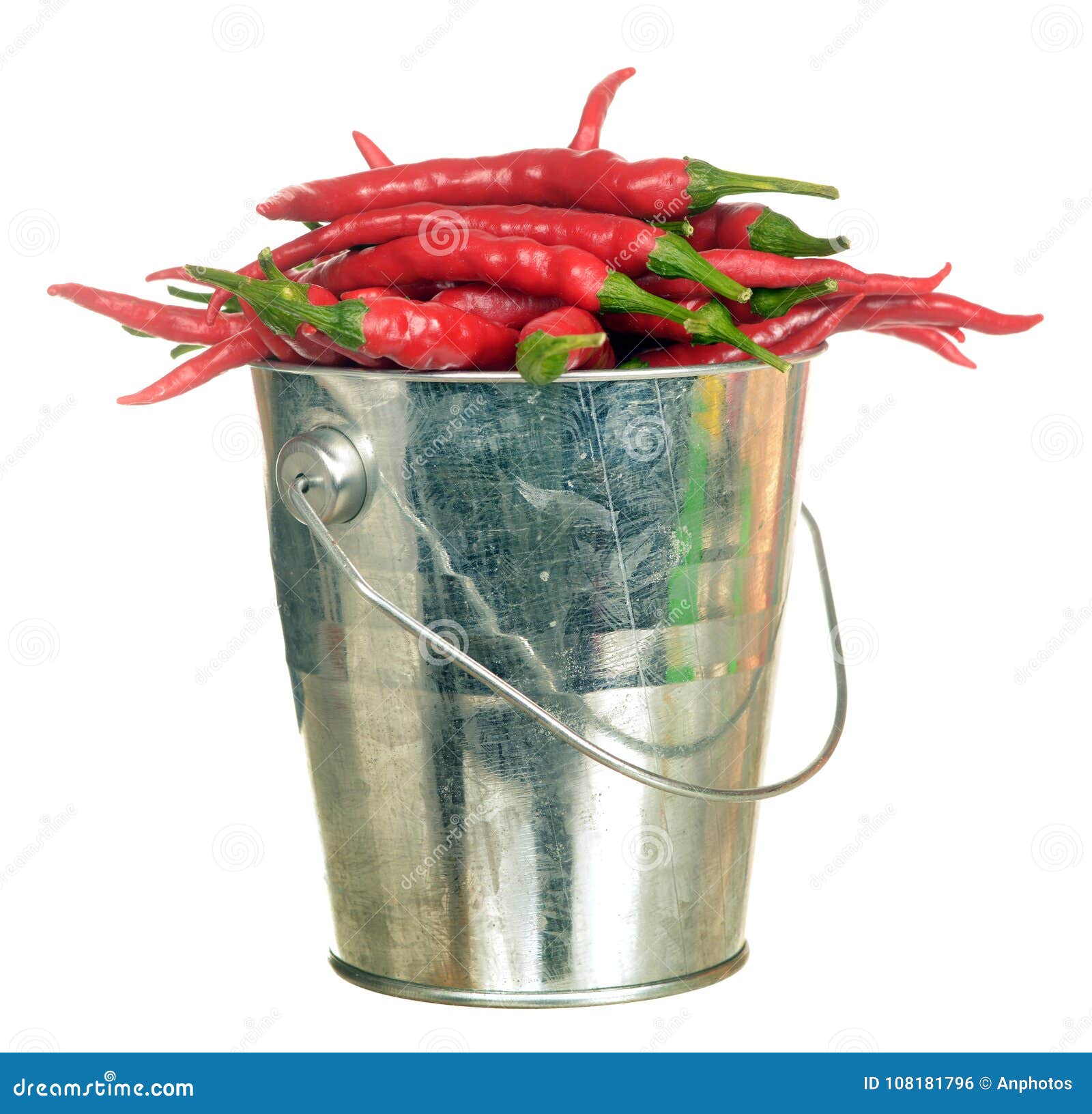 Peperoncino CORTO DI CAYENNA - FINCO Agricoltura Srl - Foto 14